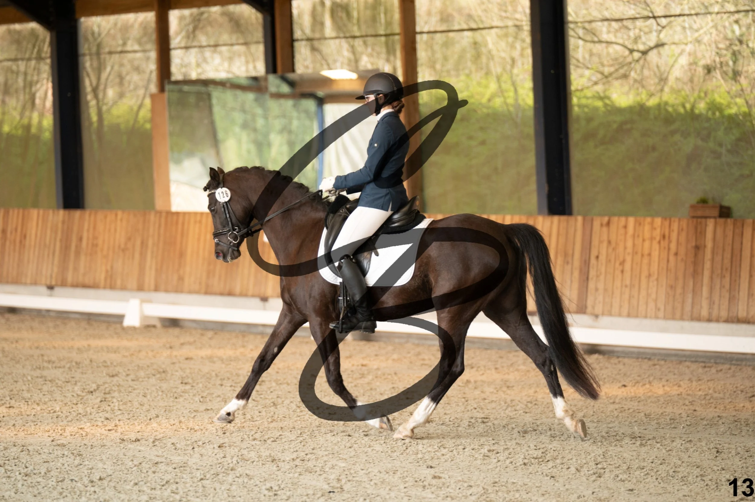 2026.03.22 - jeunes chevaux - 5ans - poneys-13.jpg