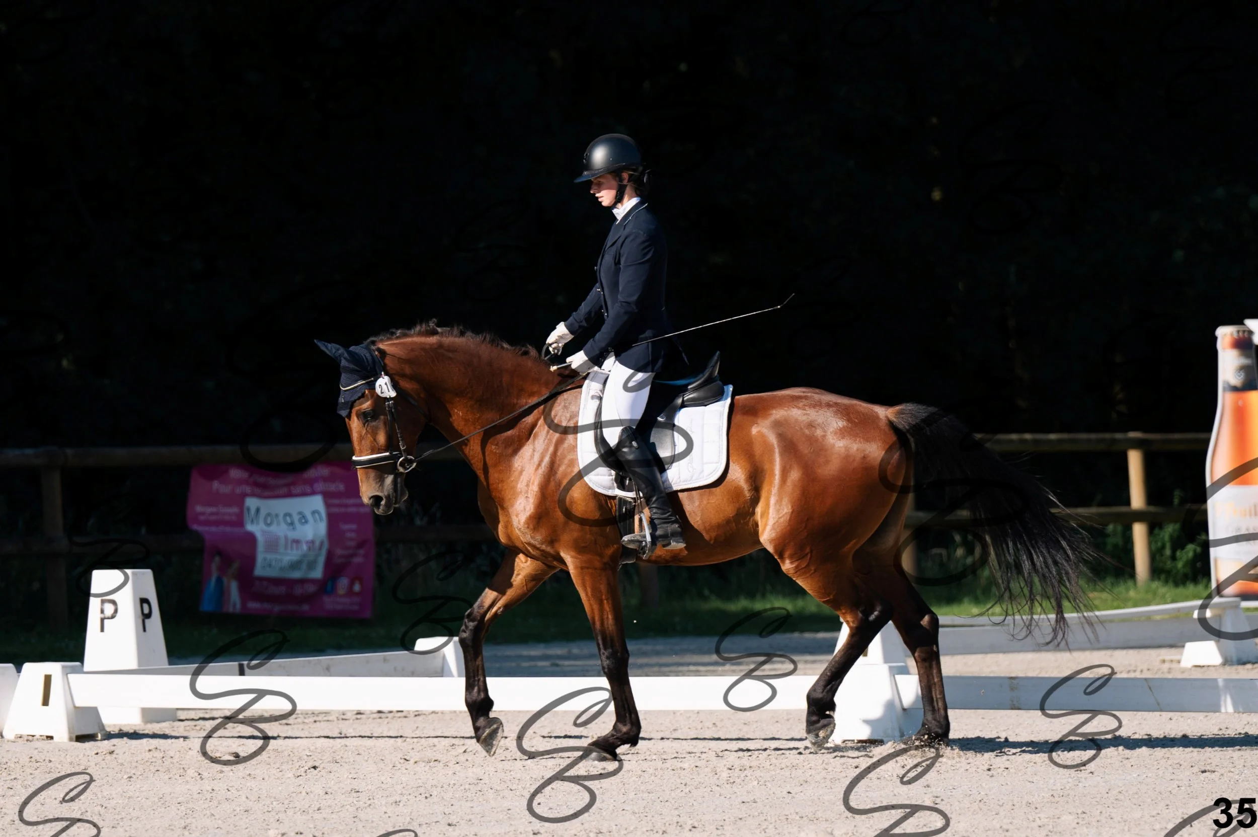 2026.07.12 - 103 Reprise Accueil-5.jpg