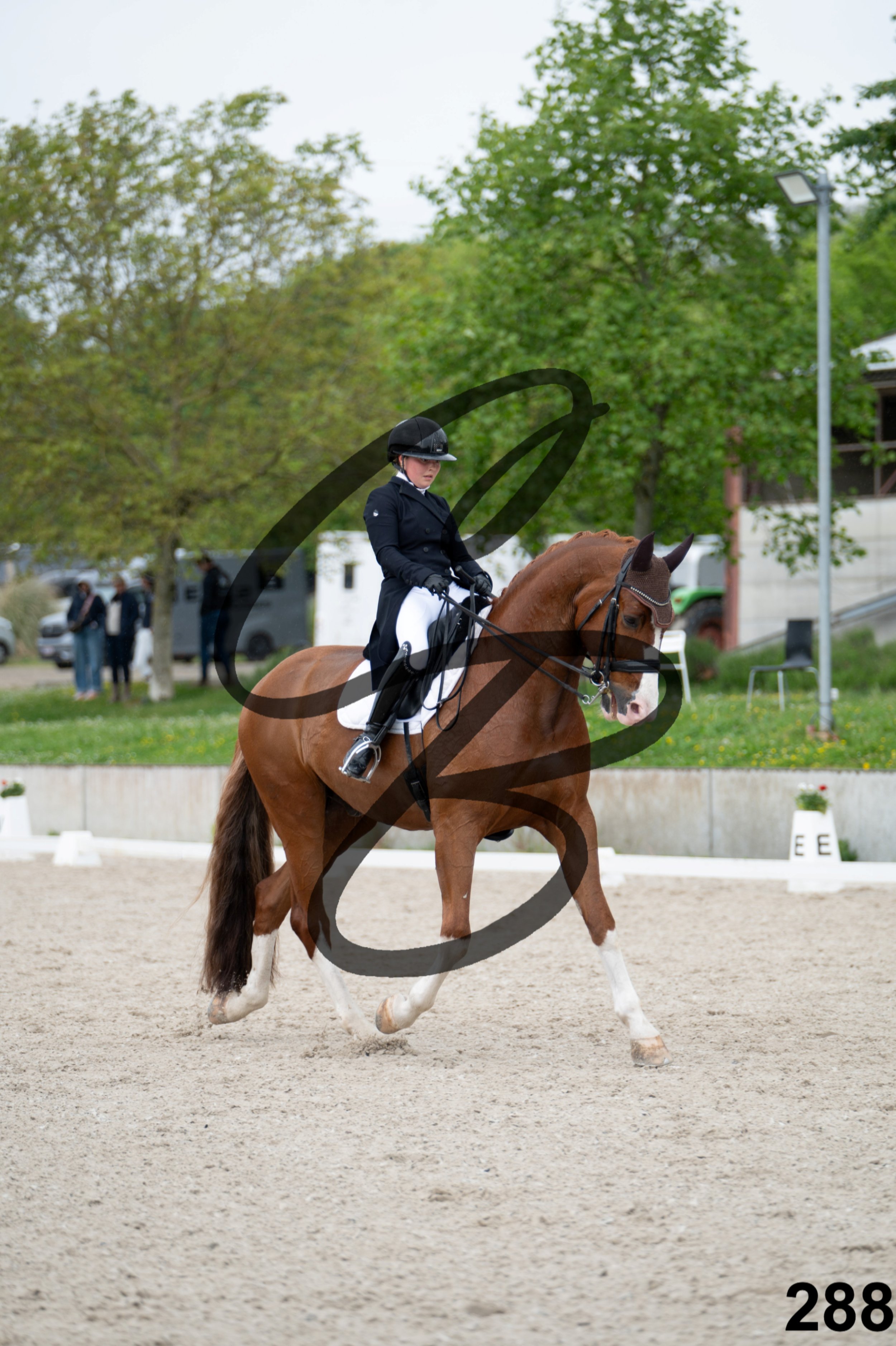 03052026-FLE_7477.jpg