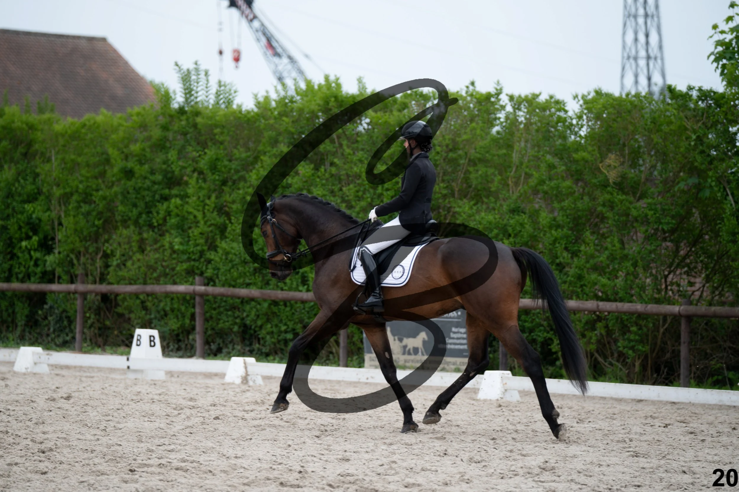 2026.05.10 - Manon & Win -20.jpg