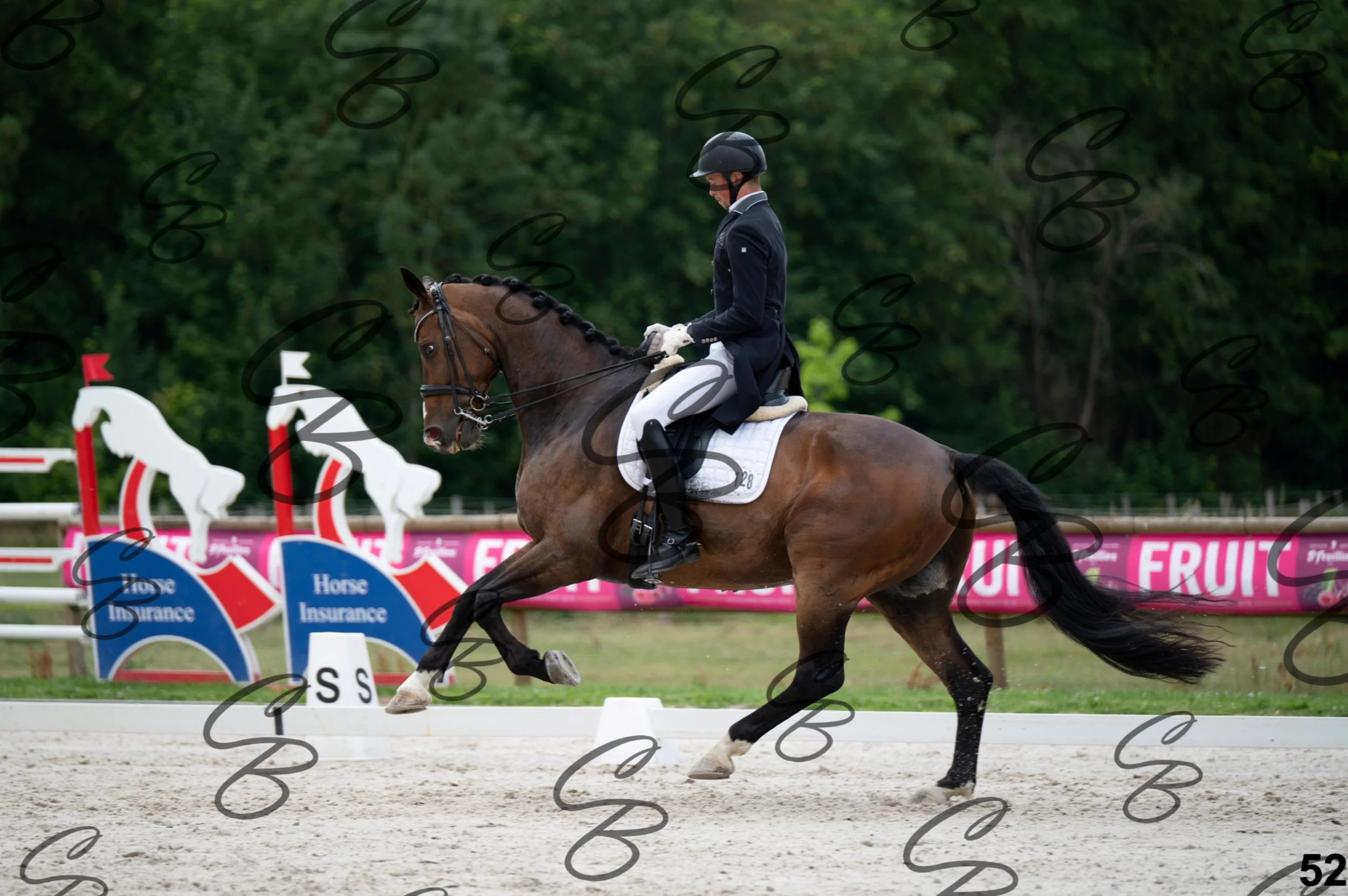 2026.07.04 - 4 Woutter D'hHoore-7.jpg