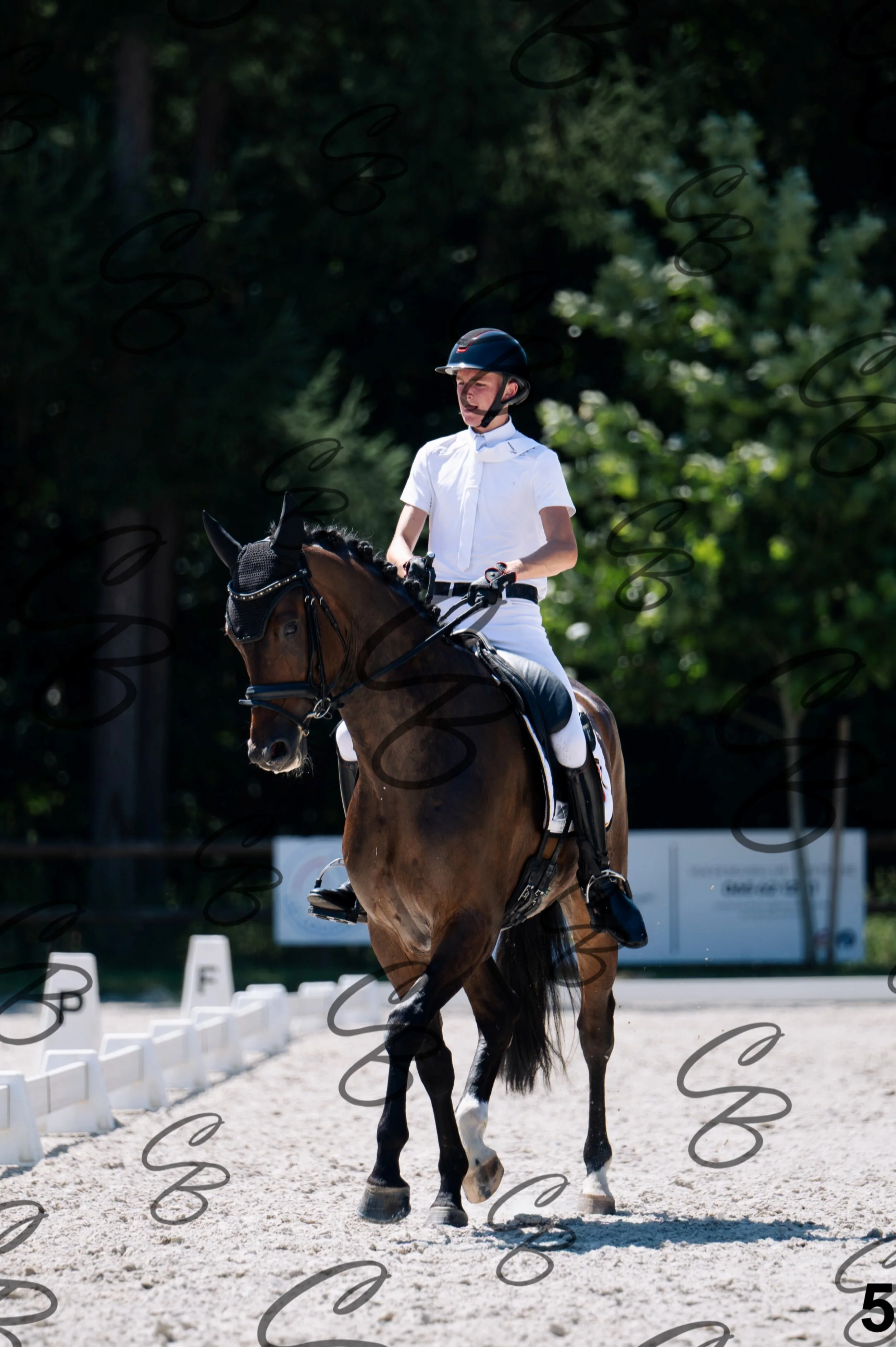 2026.07.12 - Jeunes chevaux - FEI 6YH Preliminary Test-5.jpg