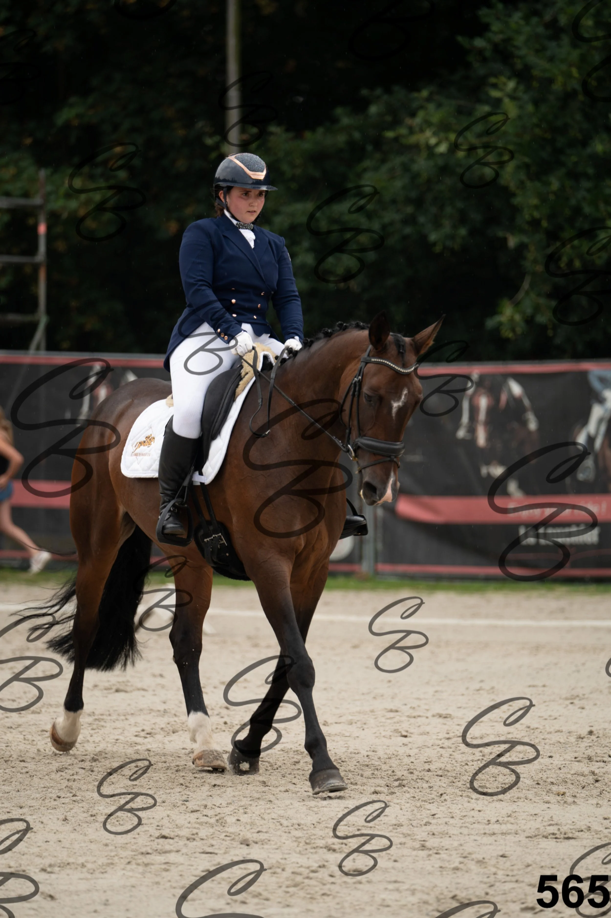 2026.08.15 - Louchier - GHO-499.jpg