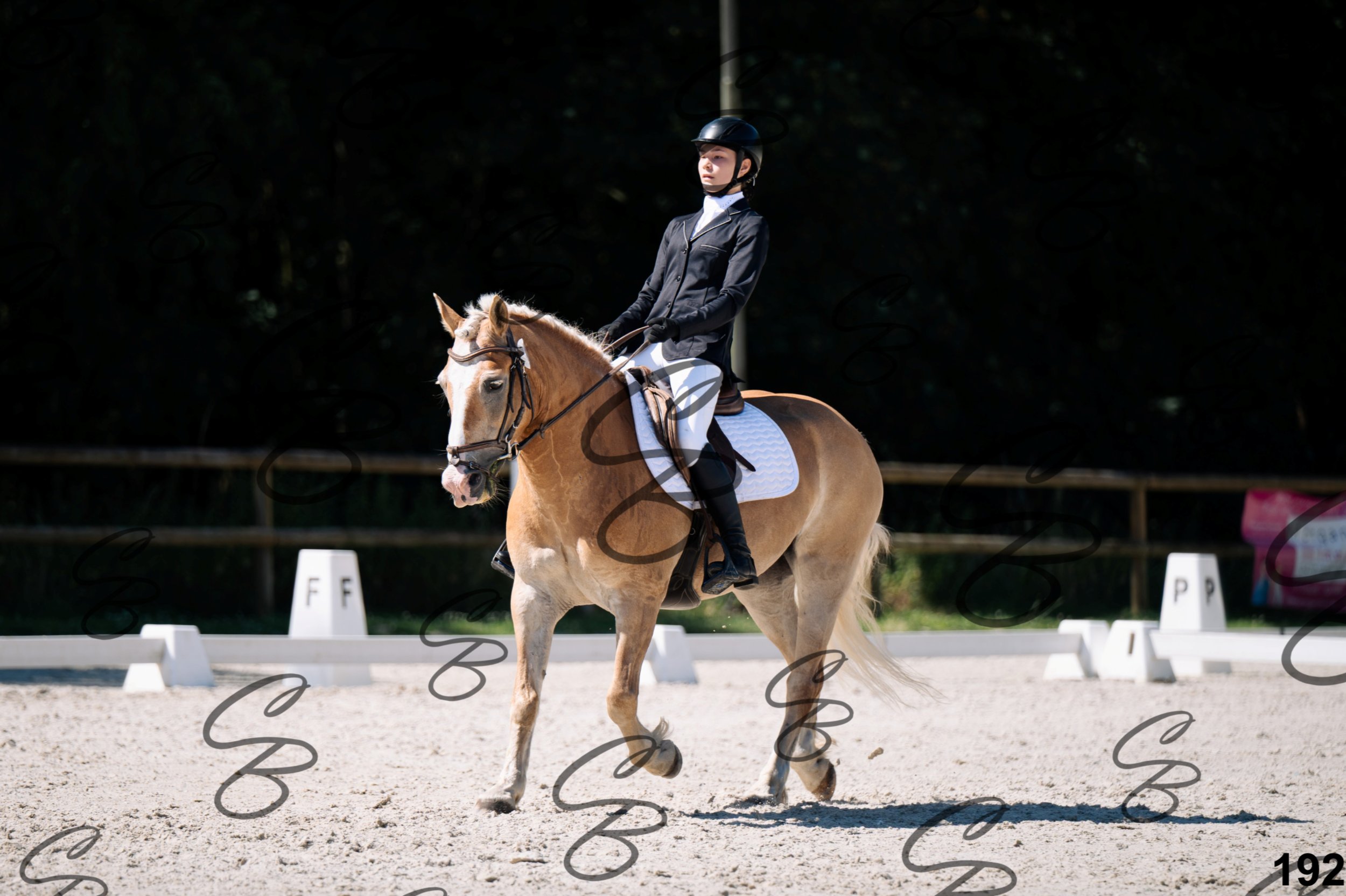 2026.07.12 -106 Niveau Initiation Poneys - Ini.6-9.jpg
