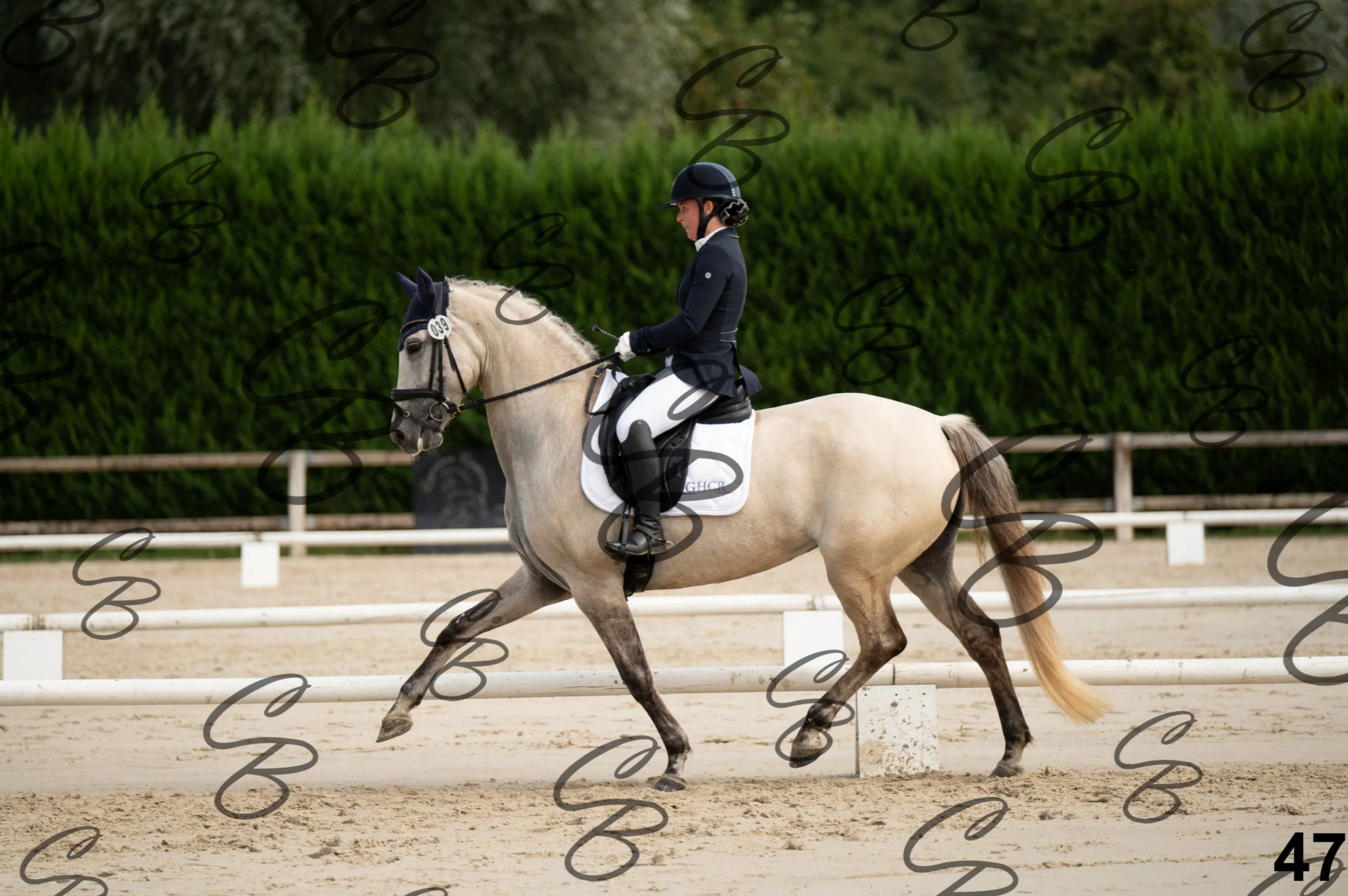 2026.09.20 - Djessy-47.jpg