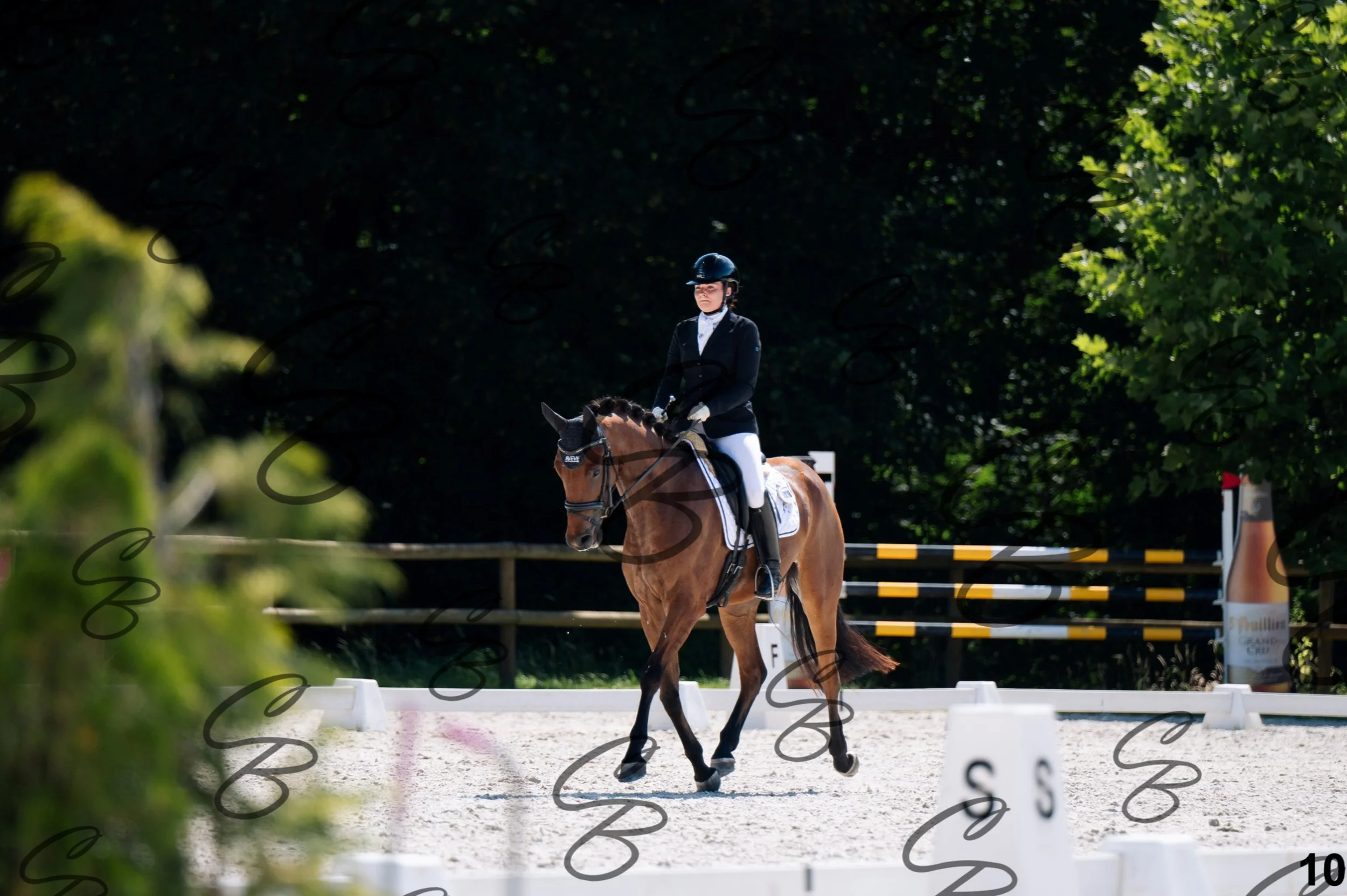 2026.07.12 - Jeunes chevaux - FEI 4YH Final Test-10.jpg