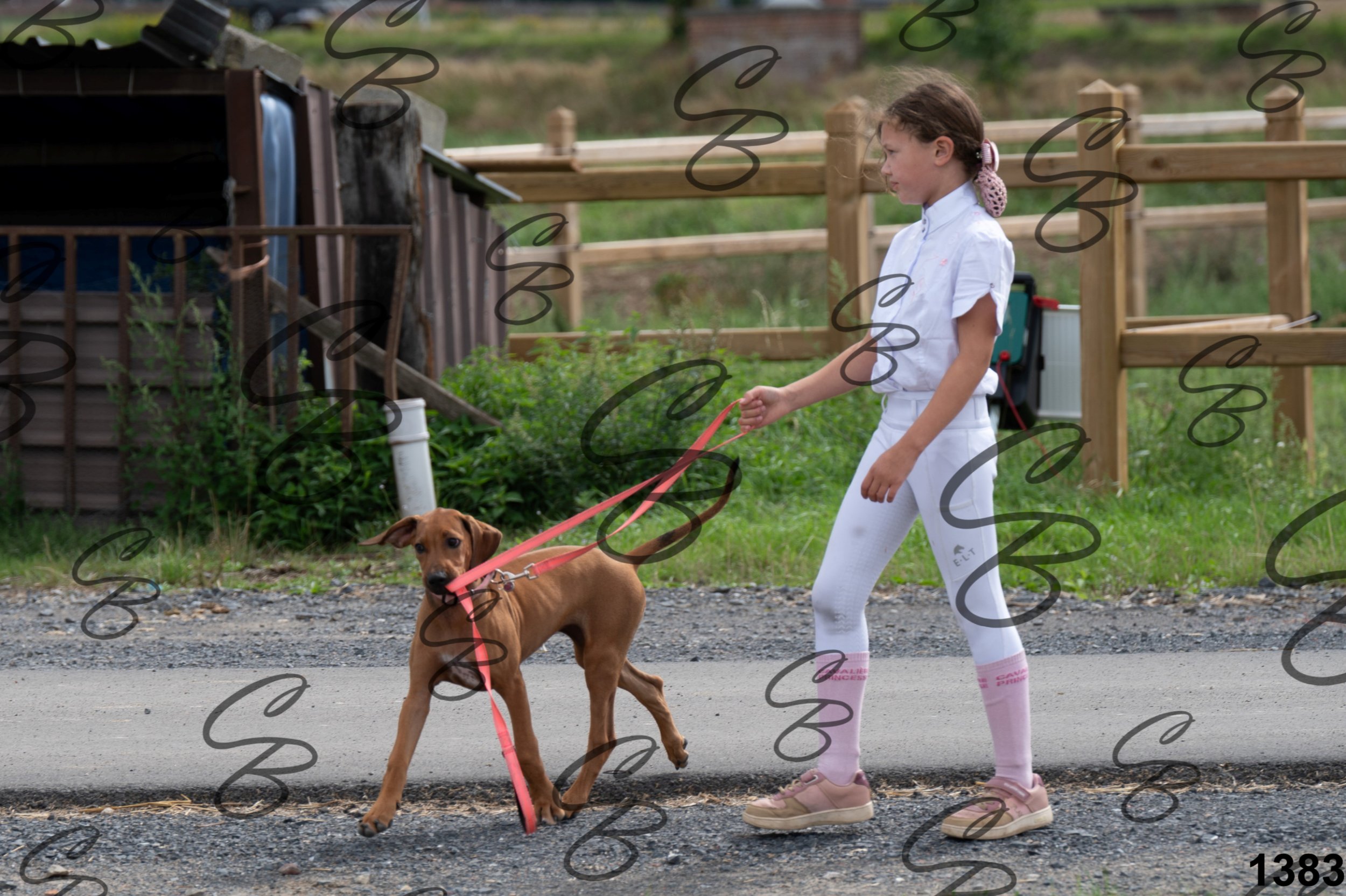 30082026-CLA_0808.jpg