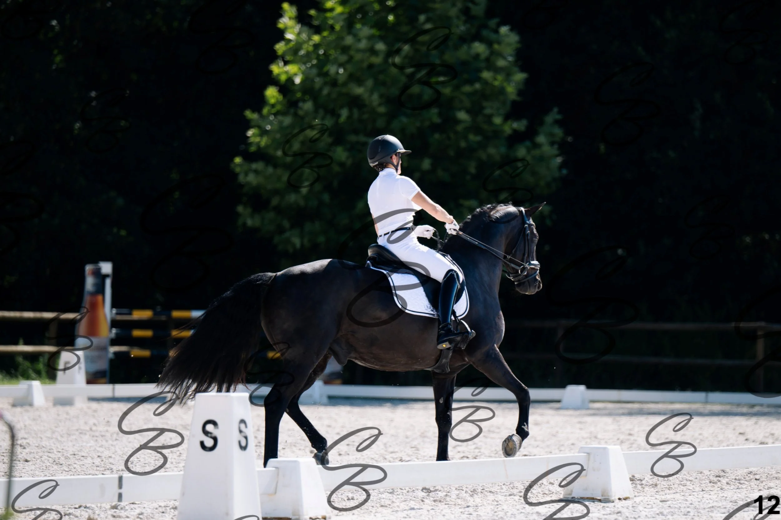 2026.07.12 - Jeunes chevaux - FEI 5YH Preliminary Test-12.jpg