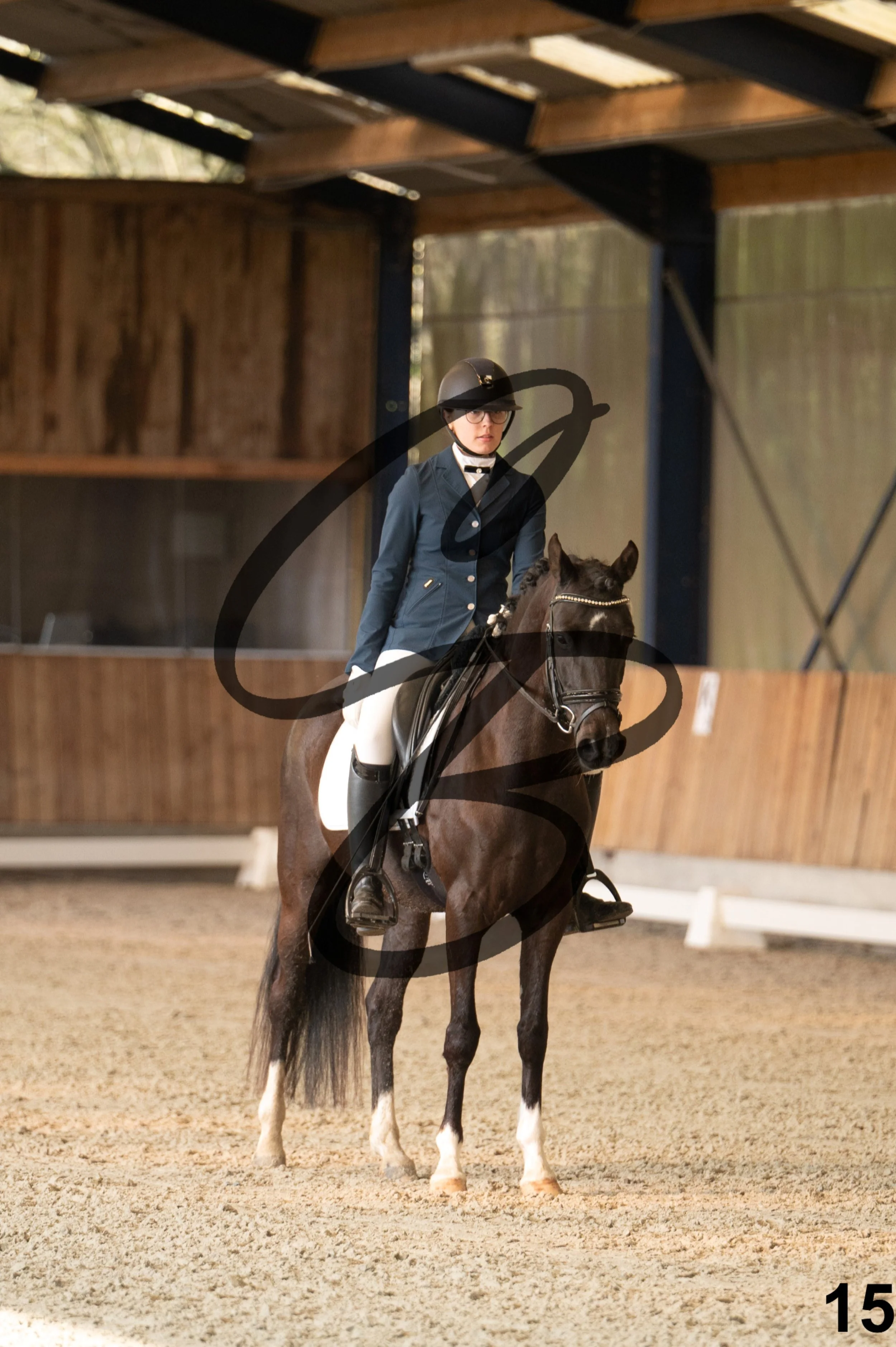 2026.03.22 - jeunes chevaux - 5ans - poneys-15.jpg