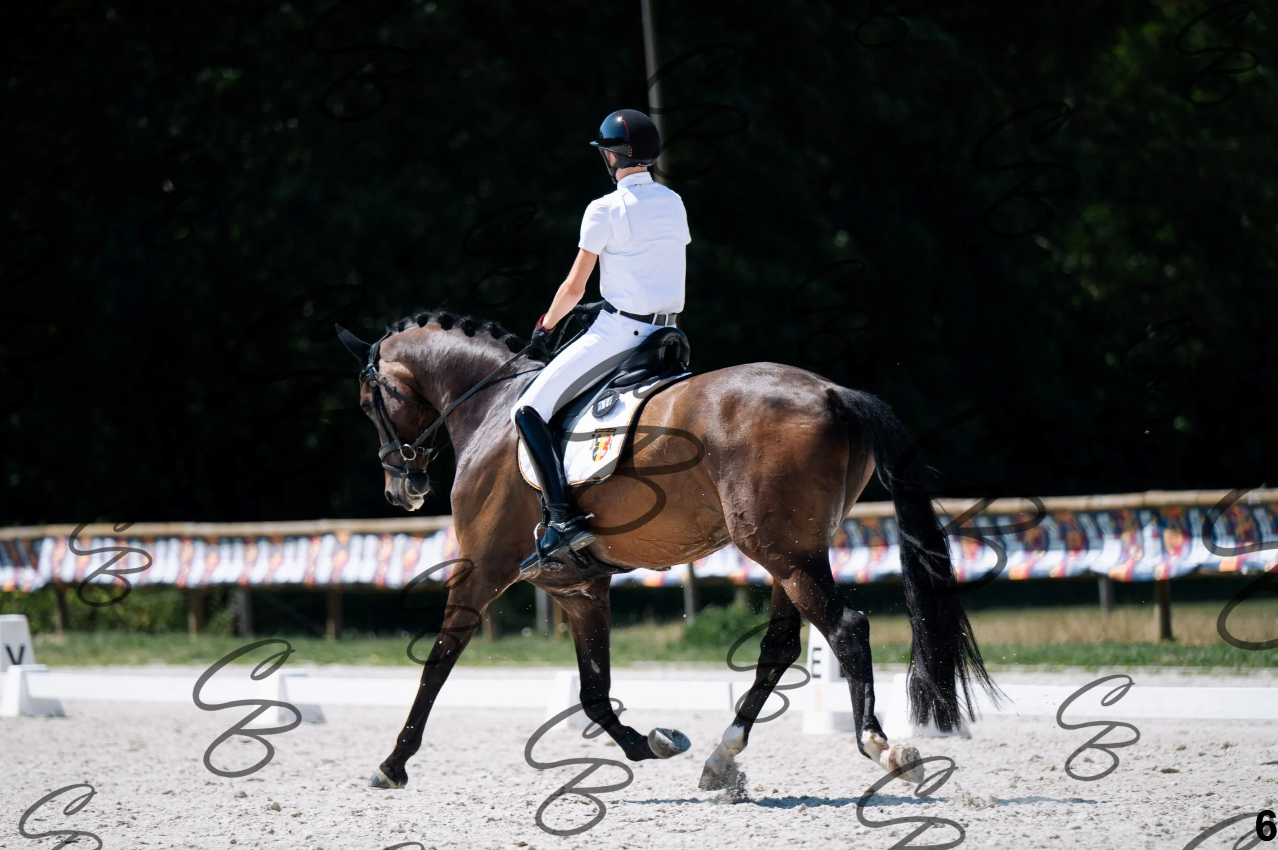 2026.07.12 - Jeunes chevaux - FEI 6YH Preliminary Test-6.jpg