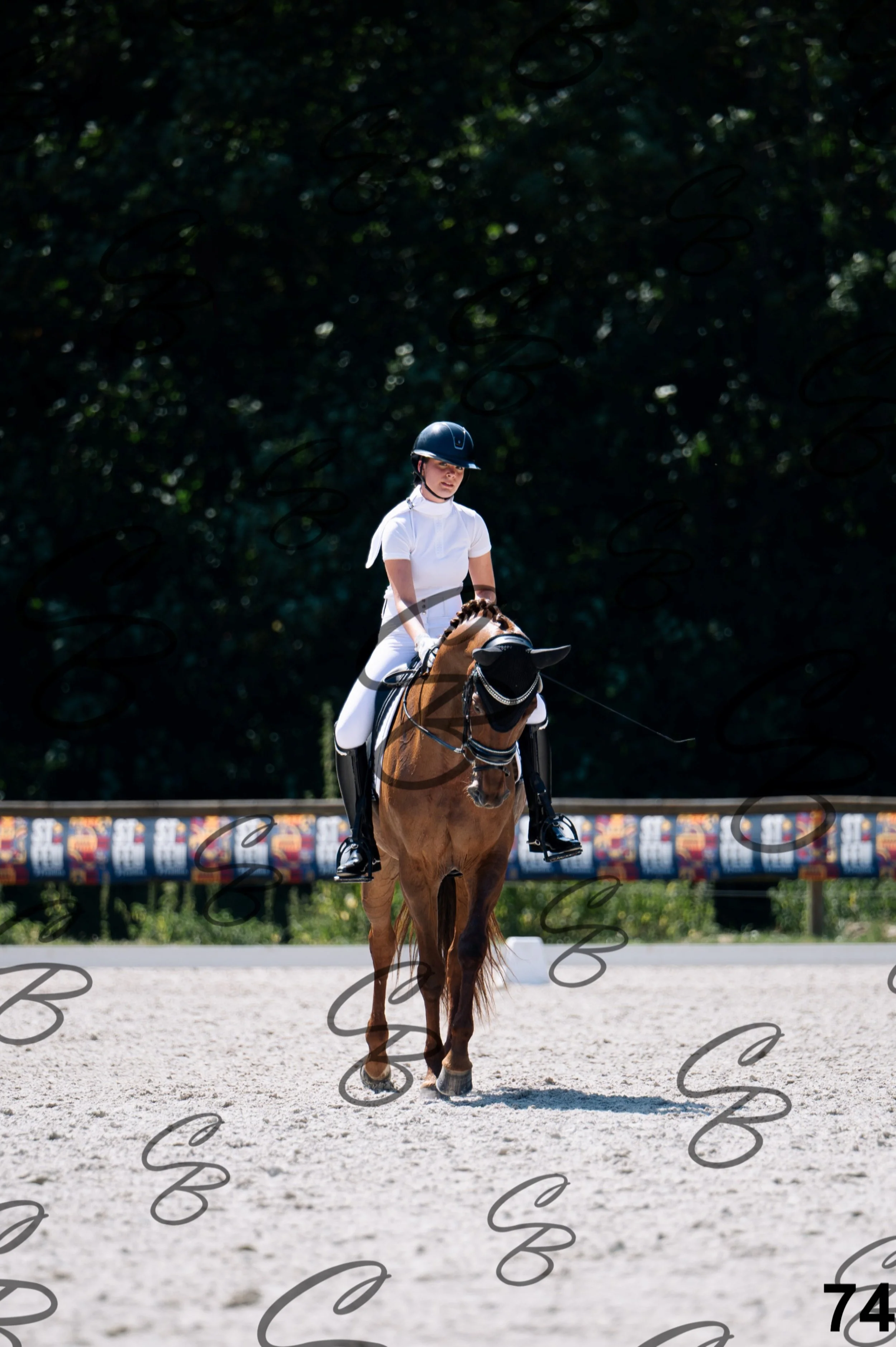 2026.07.12 - Niveau 2 - N2.4-74.jpg