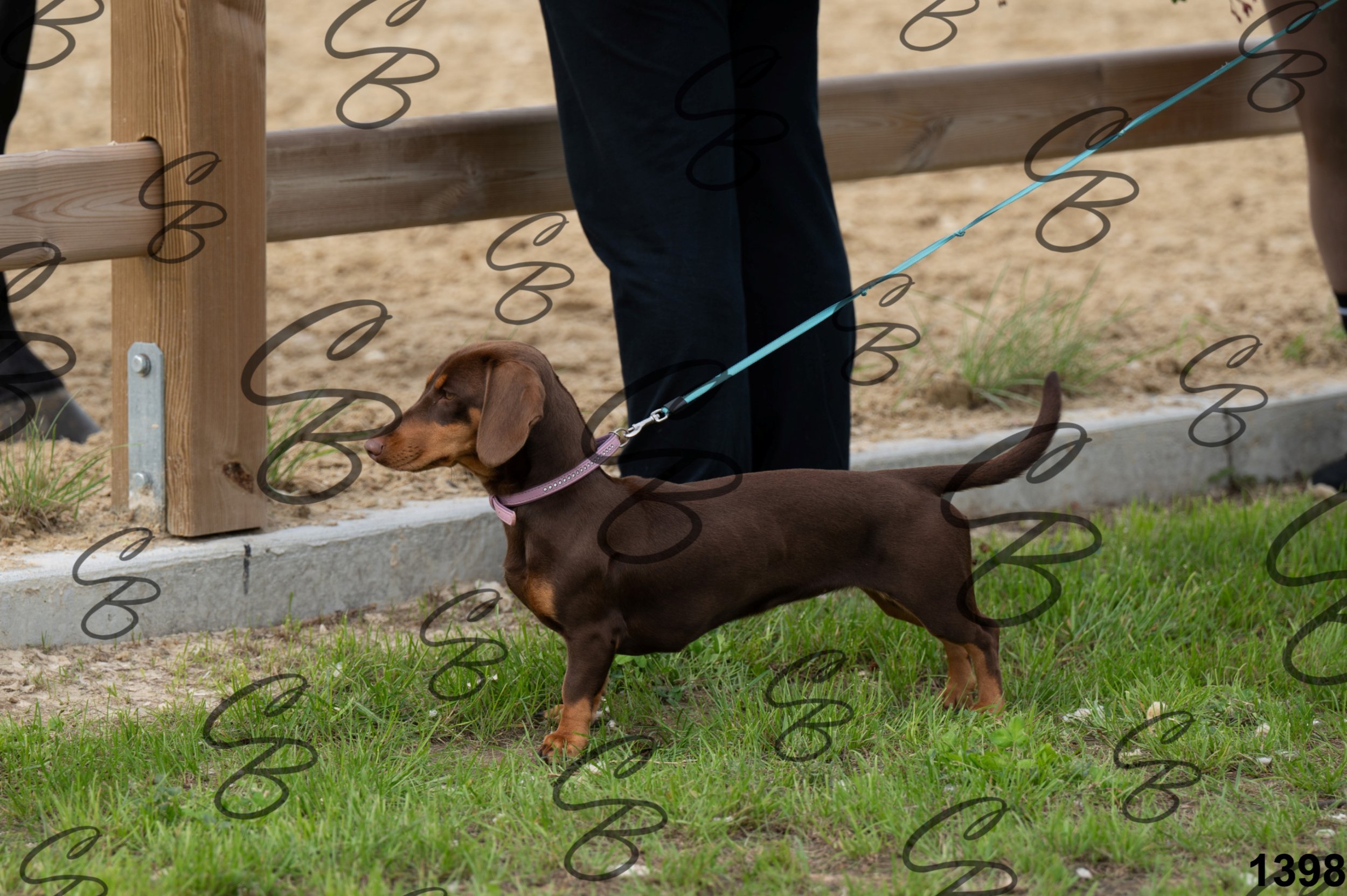 30082026-CLA_1630.jpg