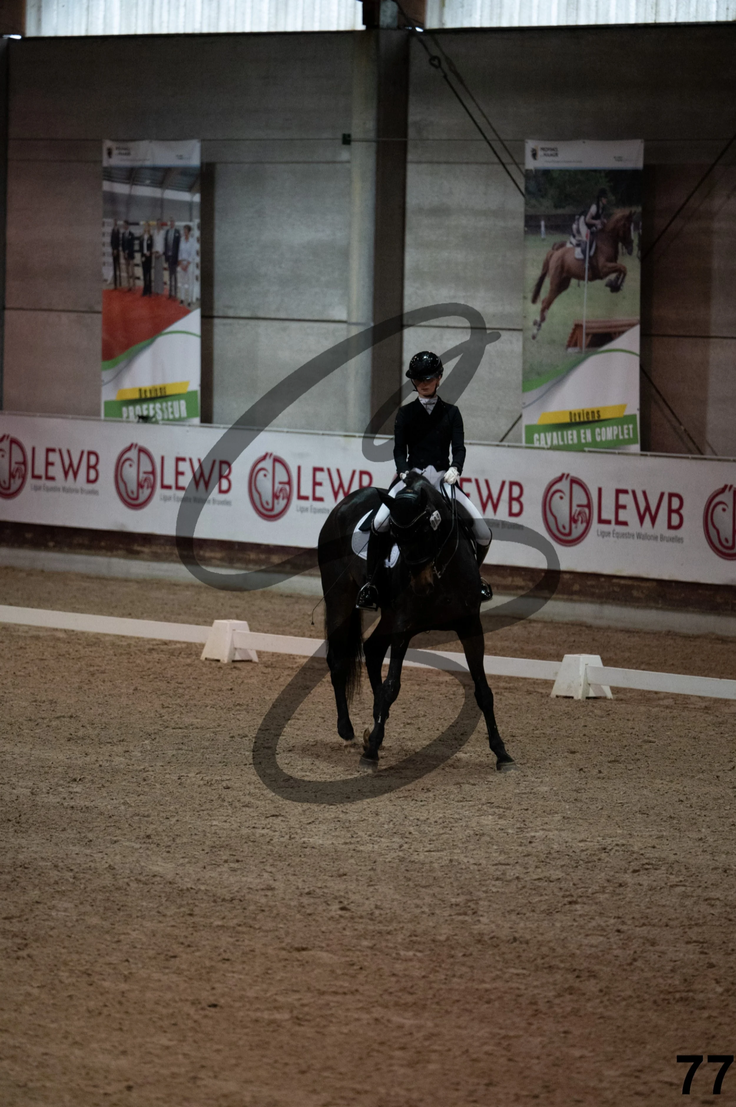 2025.11.01 - Manon-77.jpg
