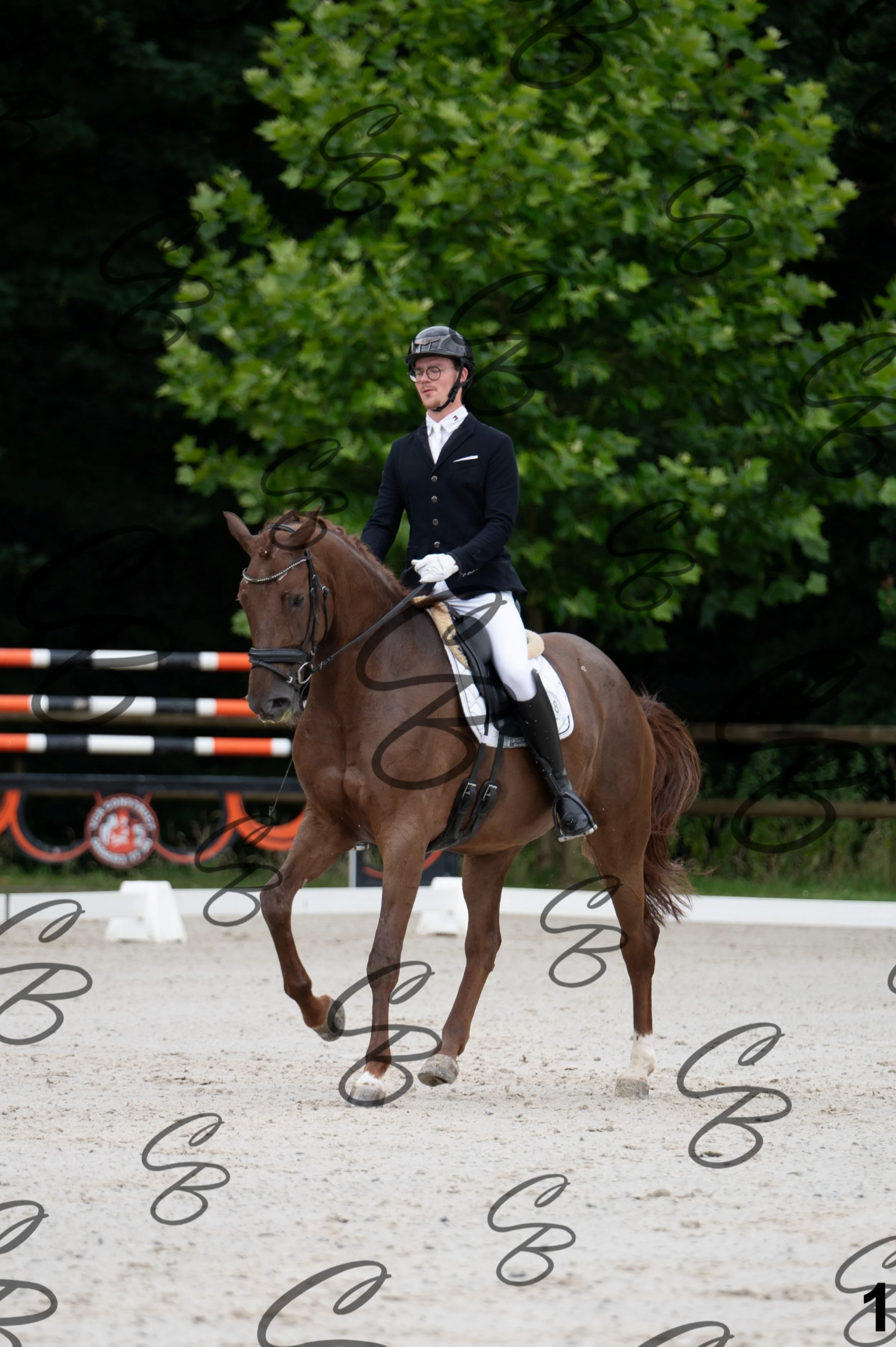 2026.07.04 - 1 Robin robert-1.jpg