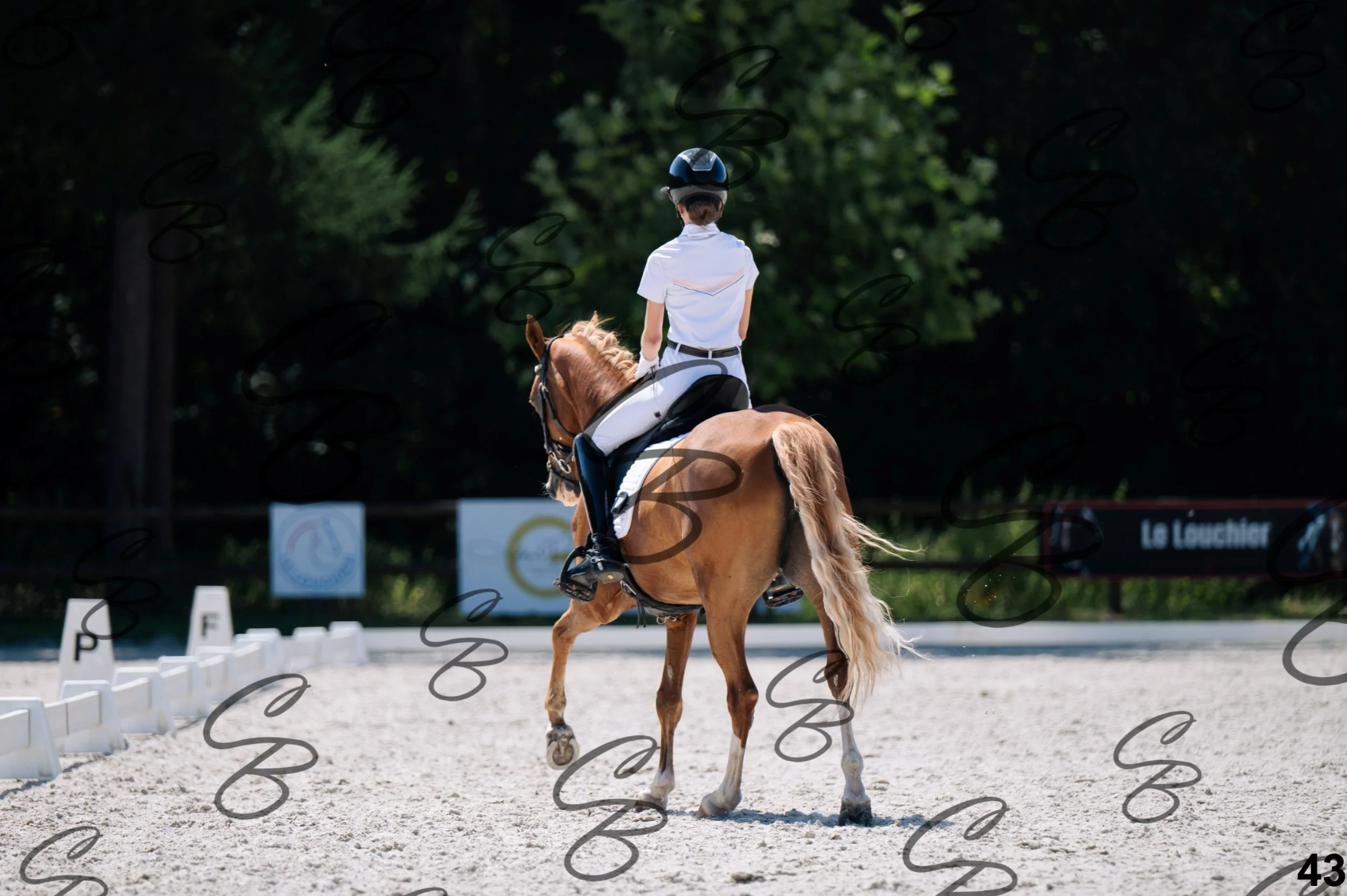 2026.07.12 - Niveau 2 - N2.4-43.jpg