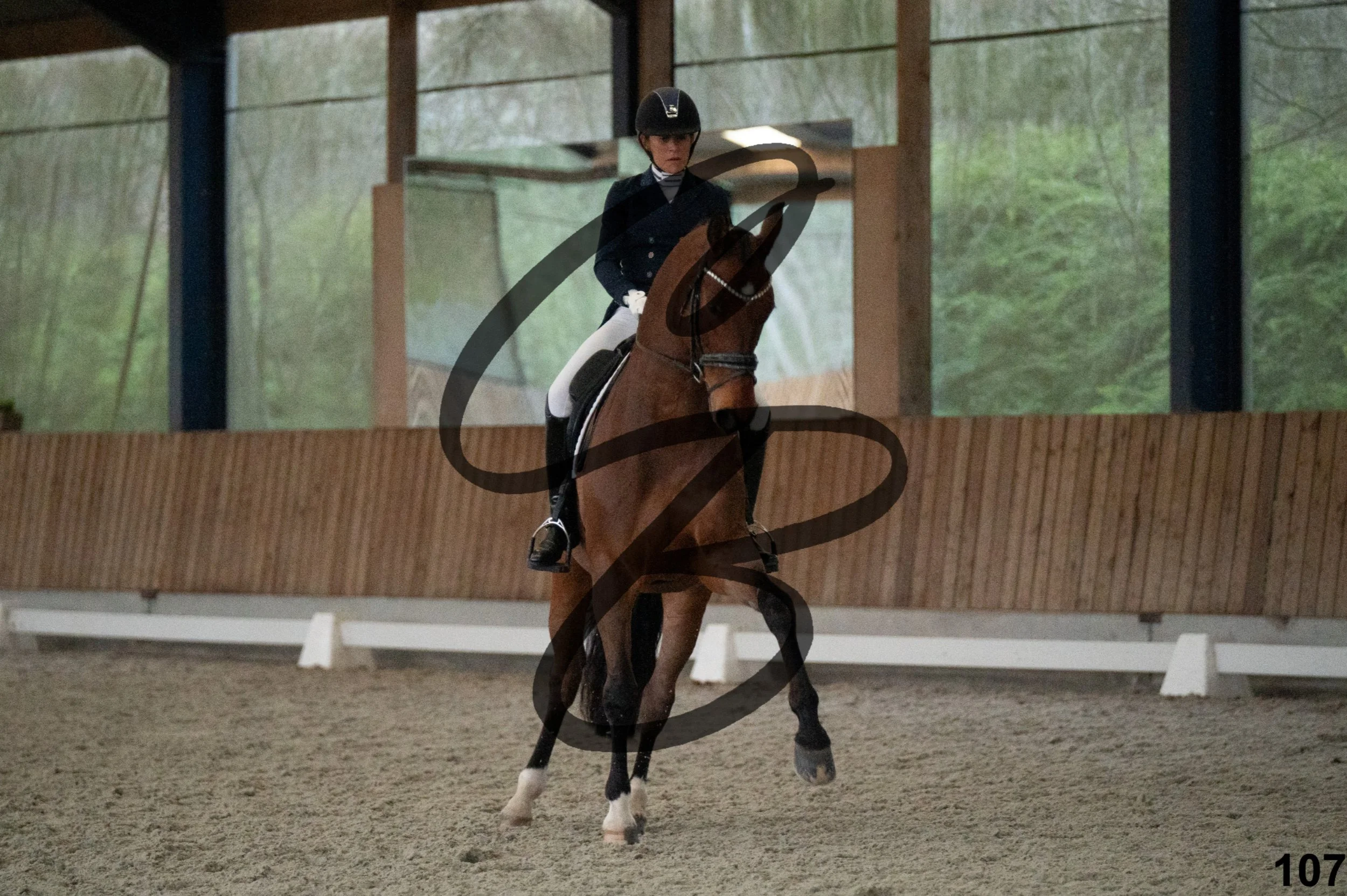 2026.03.22 - niv5 - saint georges-107.jpg