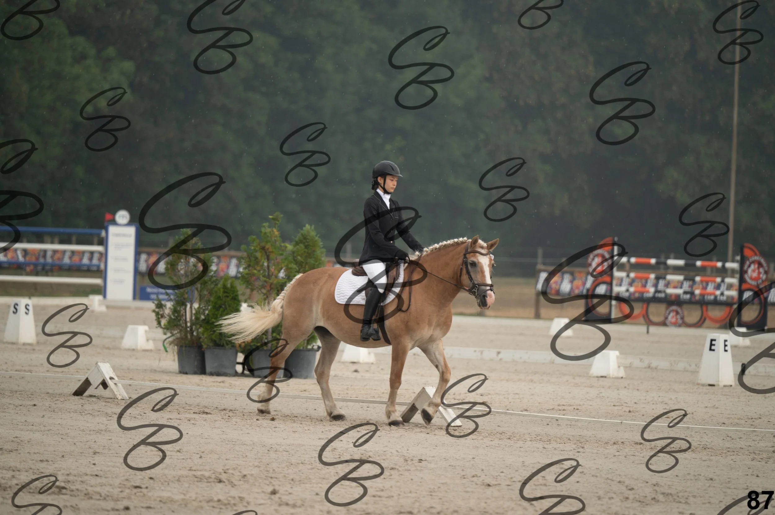 2026.08.15 - Louchier - GHO-124.jpg