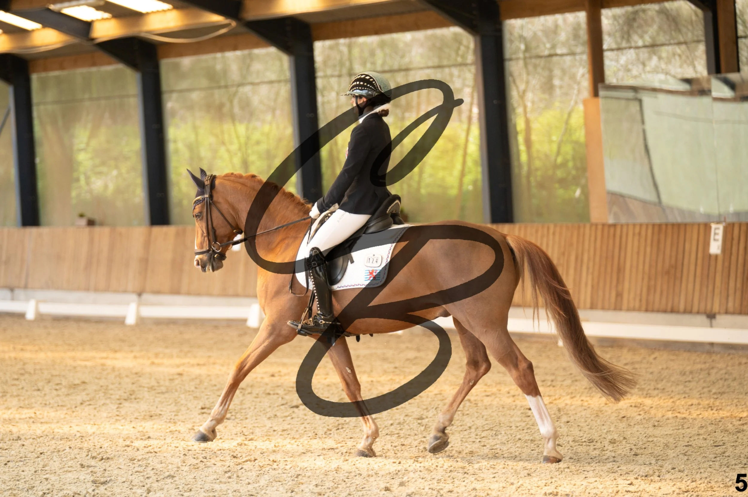 2026.03.22 - Niv3 - Pony individual test-5.jpg