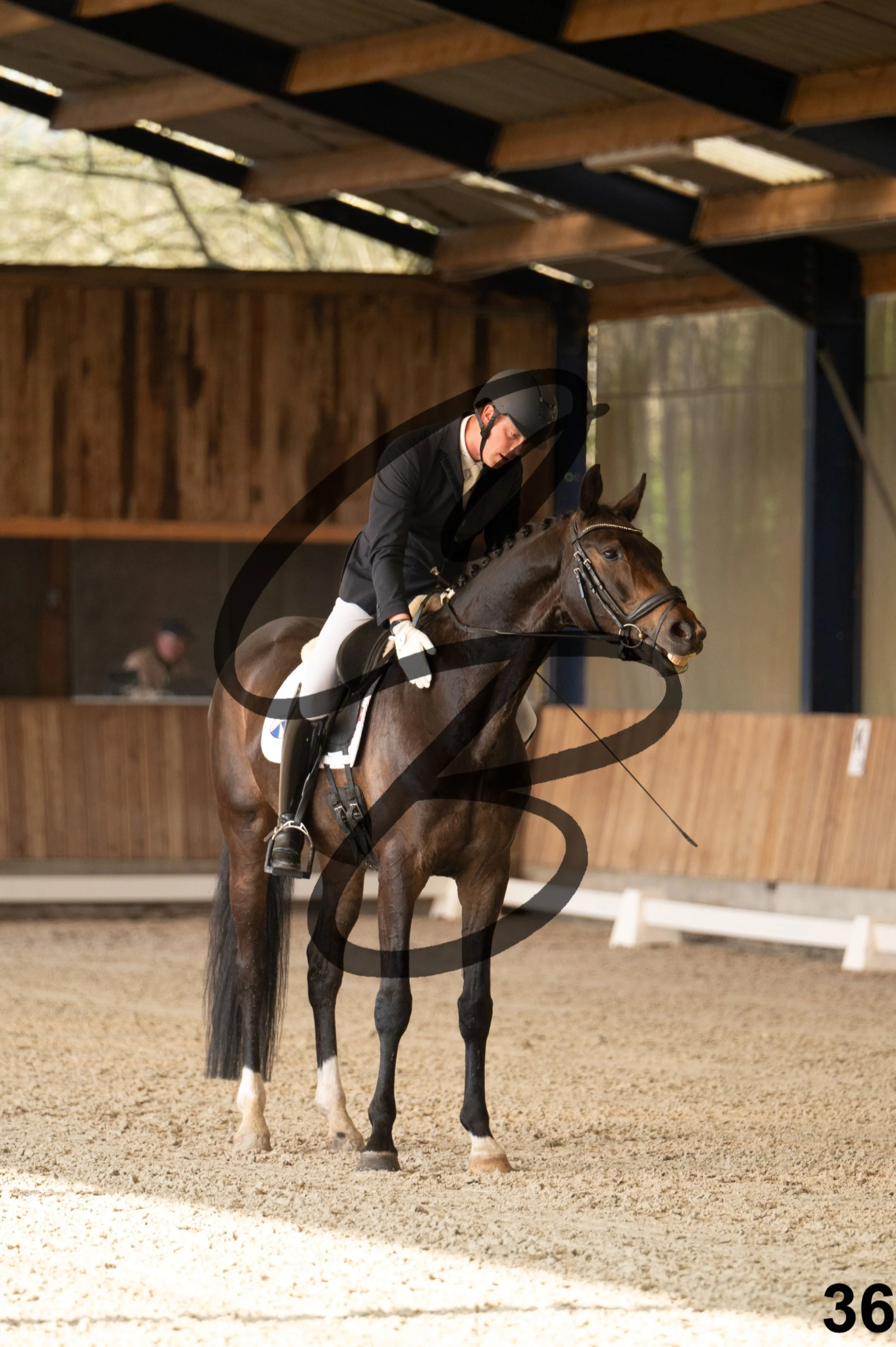 2026.03.22 - jeunes chevaux - 6ans-36.jpg