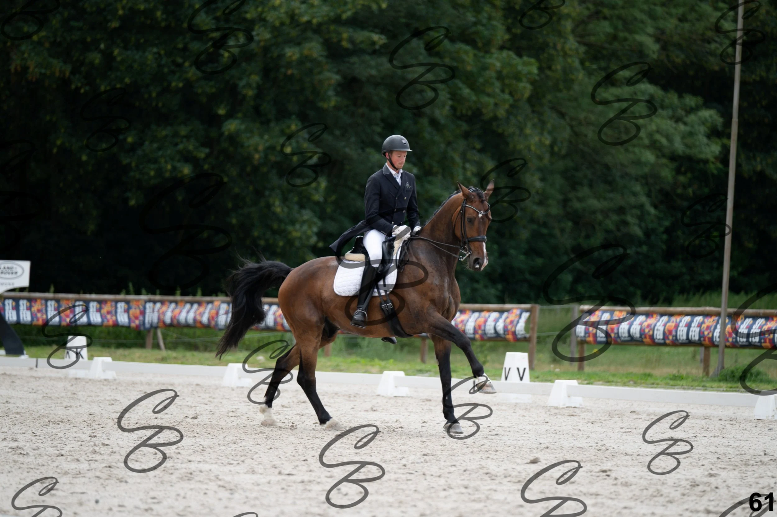 2026.07.04 - 4 Woutter D'hHoore-16.jpg