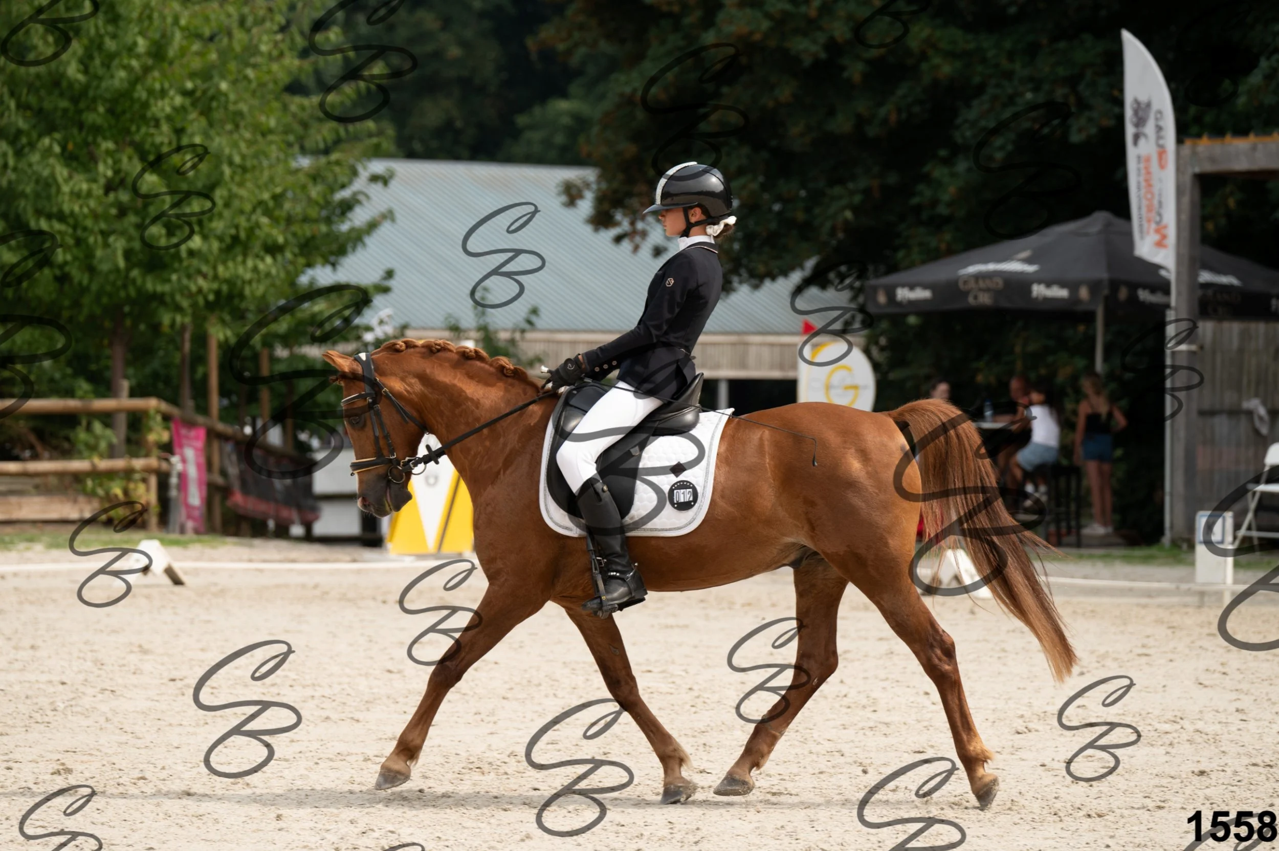 2026.08.15 - Louchier - GHO-1754.jpg