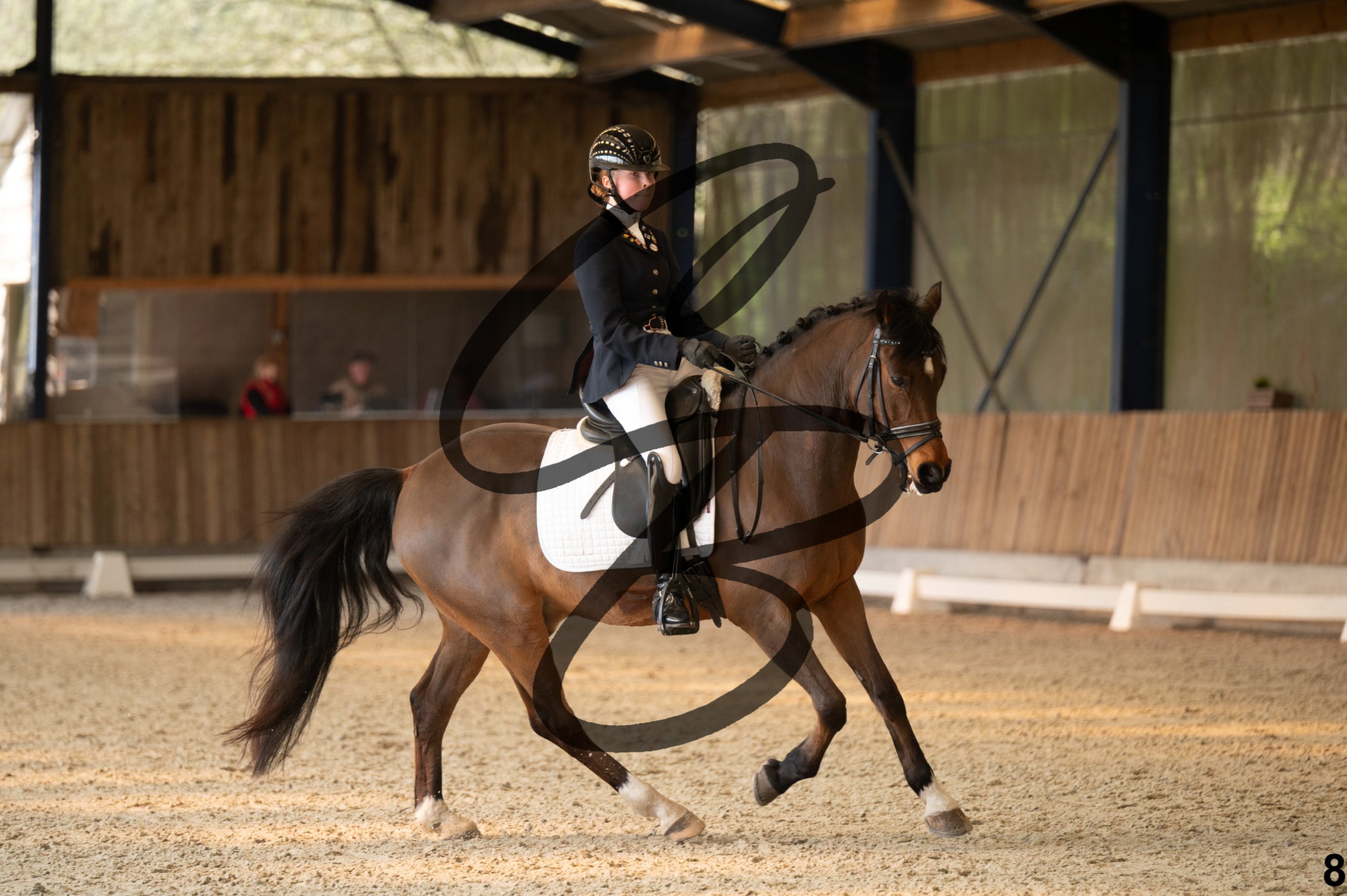 2026.03.22 - Niv3 - pony team test-8.jpg