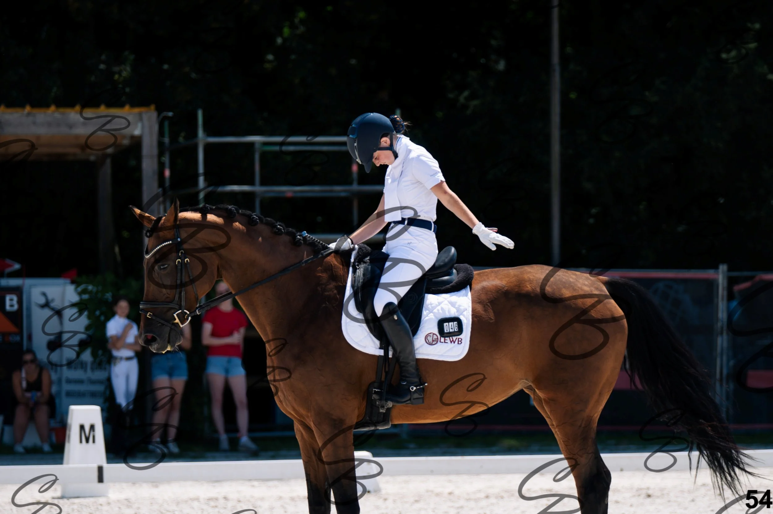 2026.07.12 - Niveau 1 - N1.5-54.jpg