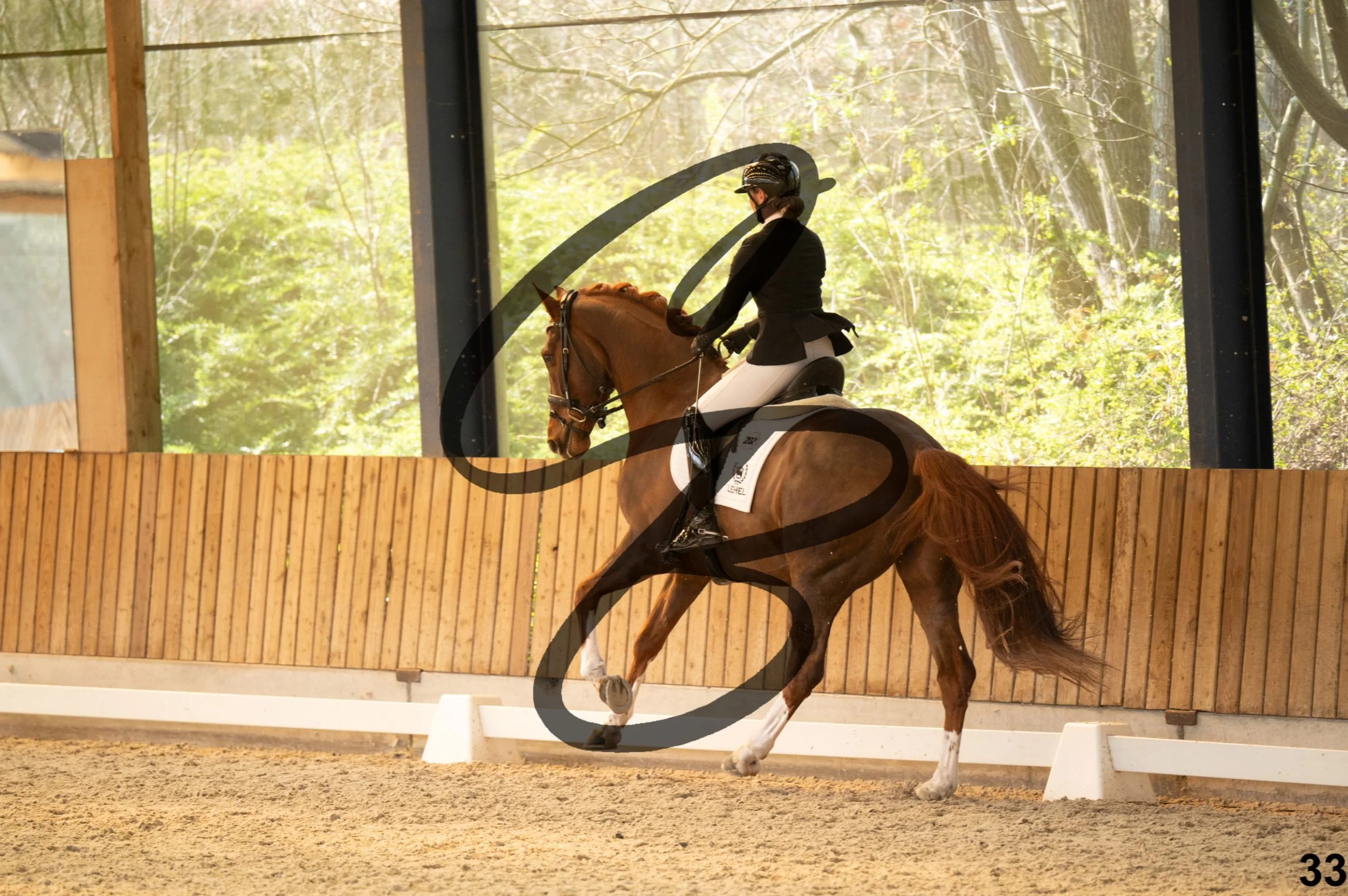 2026.03.22 - Grade 5 - grand prix test B-33.jpg