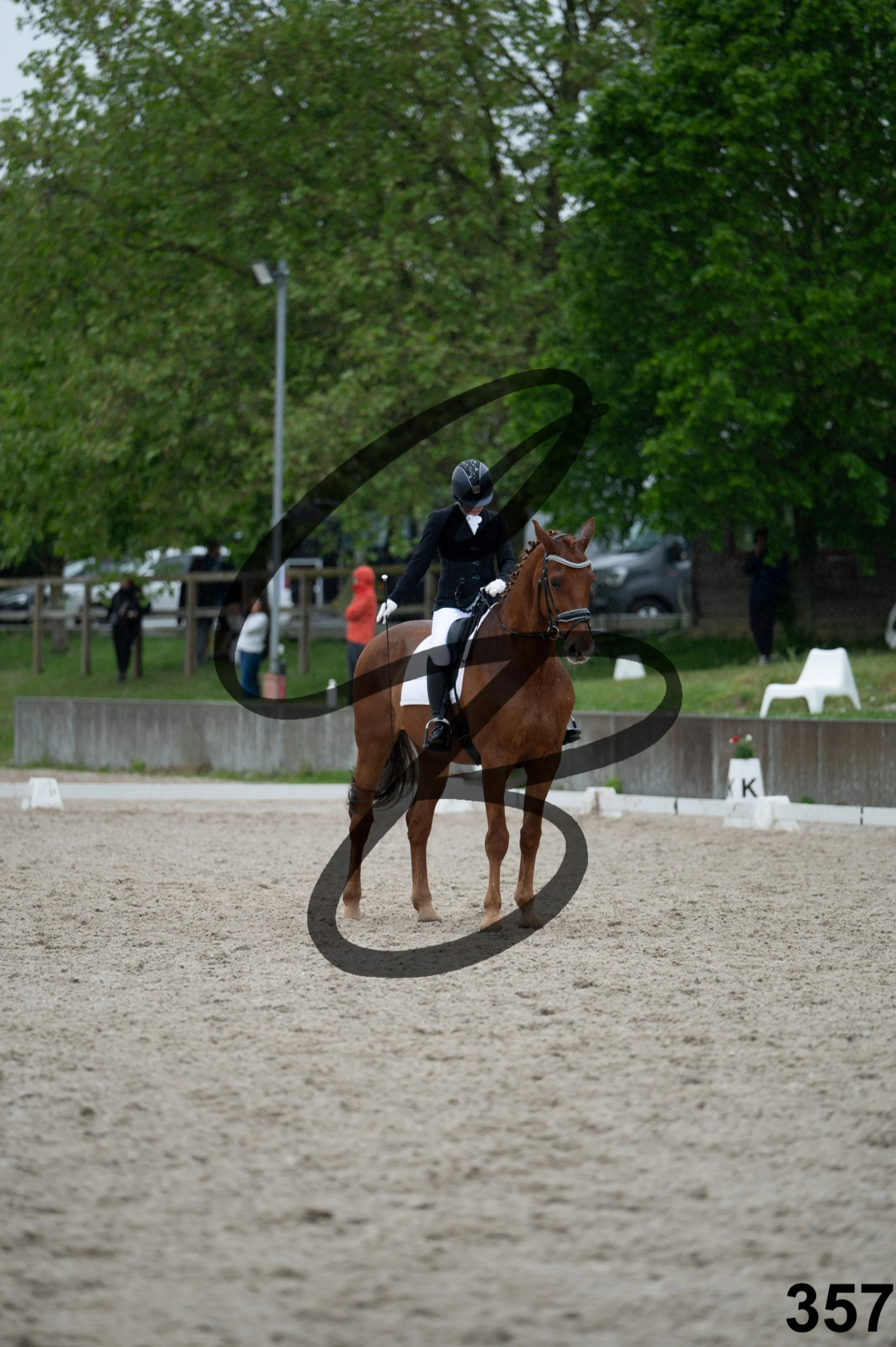 03052026-FLE_7785.jpg