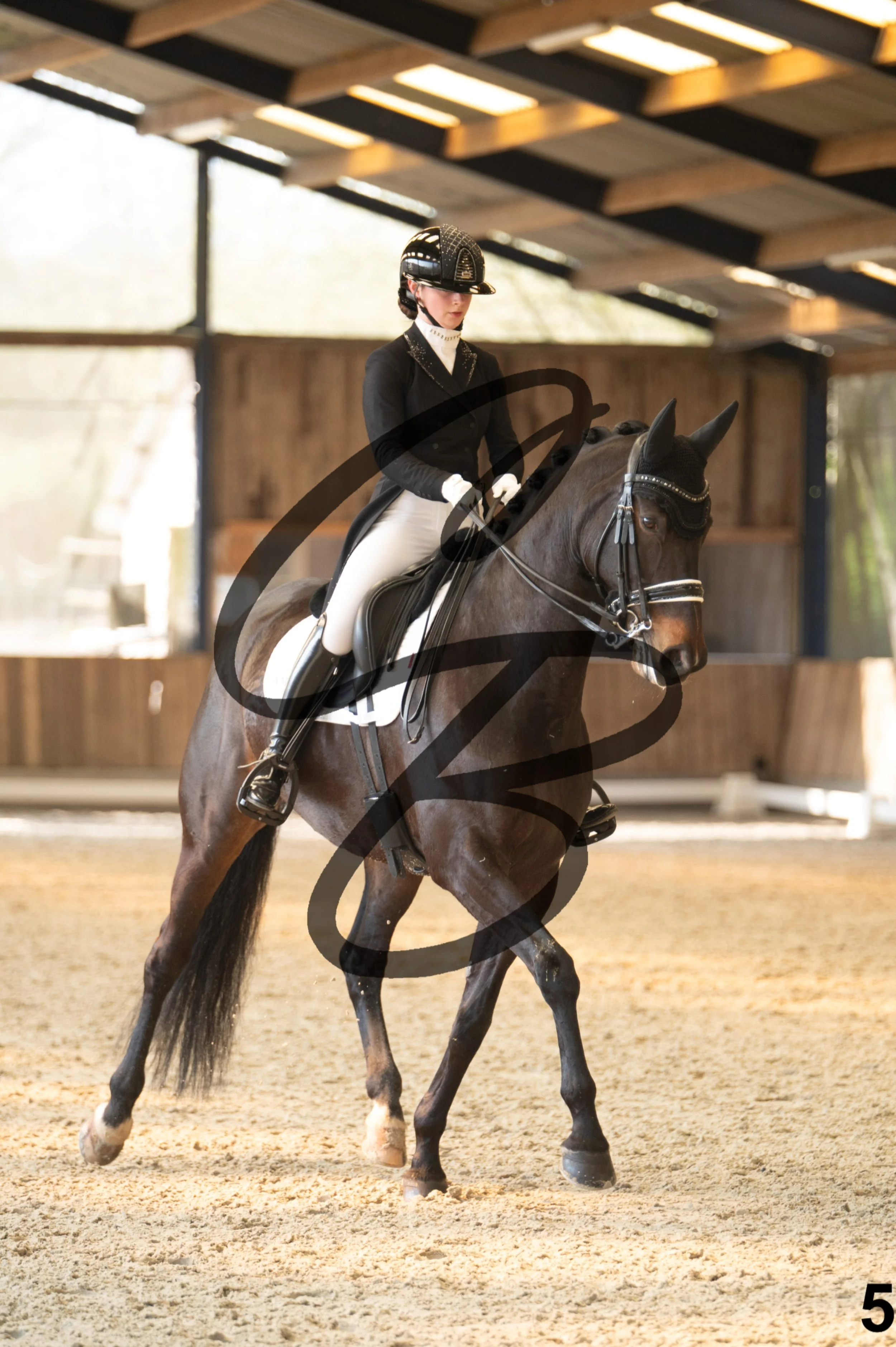 2026.03.22 - Niv5 - Young rider team-5.jpg