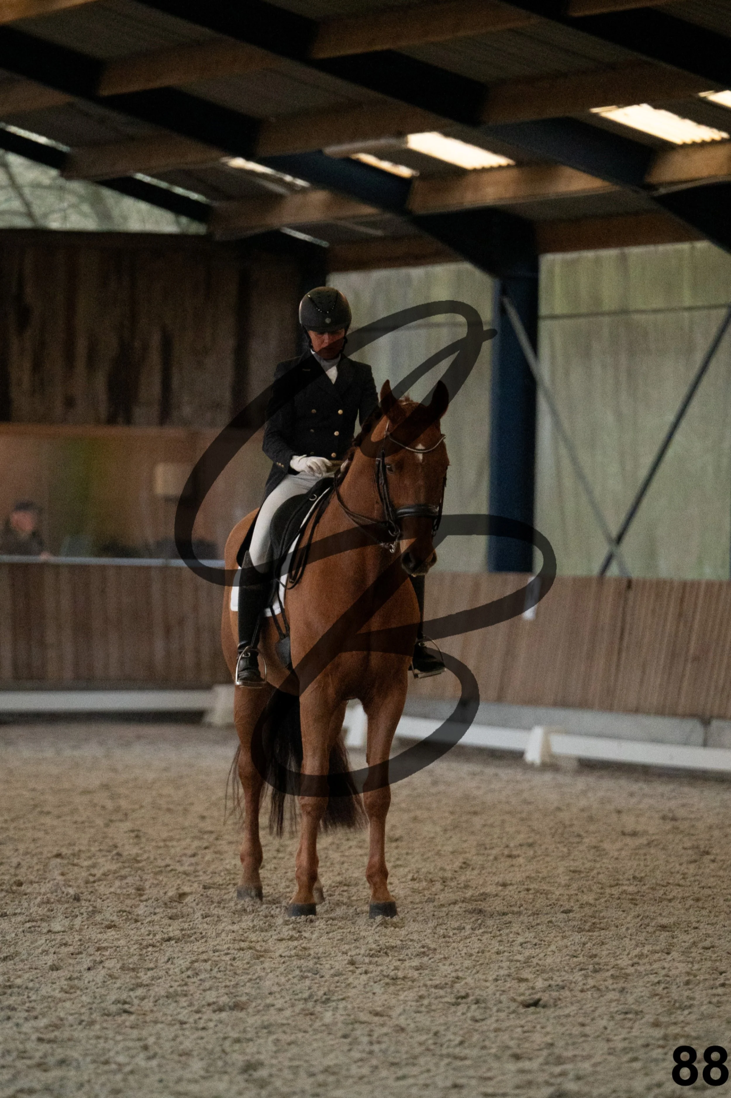 2026.03.22 - niv5 - saint georges-88.jpg