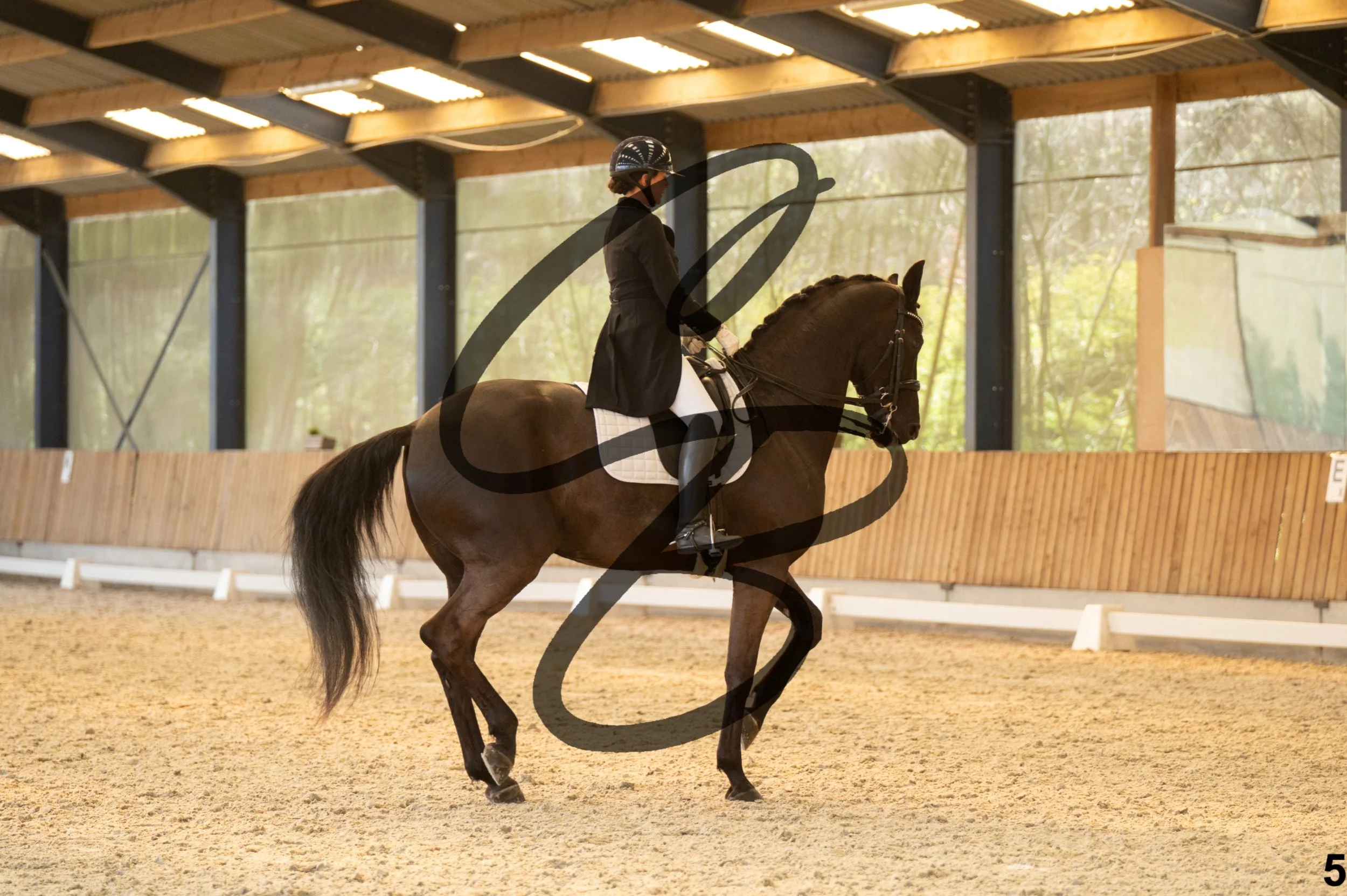 2026.03.22 - grand prix-5.jpg