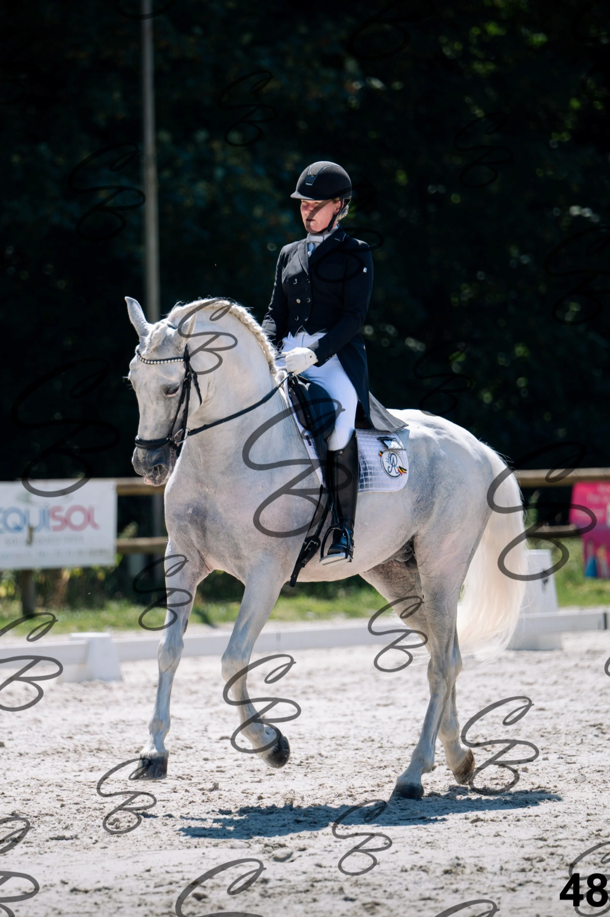 2026.07.11 - 13 Reyale - Niveau 6 - REYALE-49.jpg