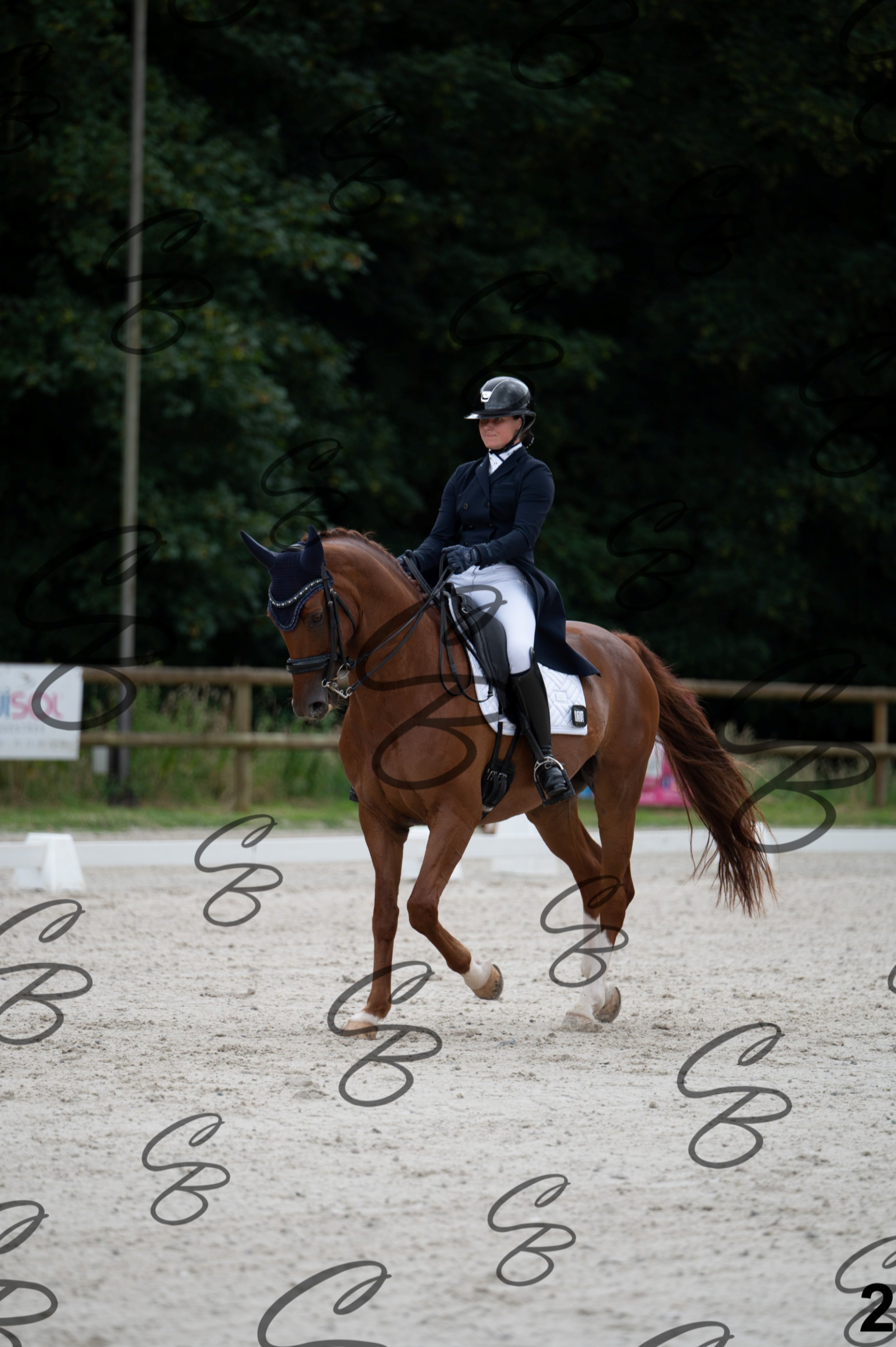 2026.07.04 - 1 Elodie de biolley-2.jpg