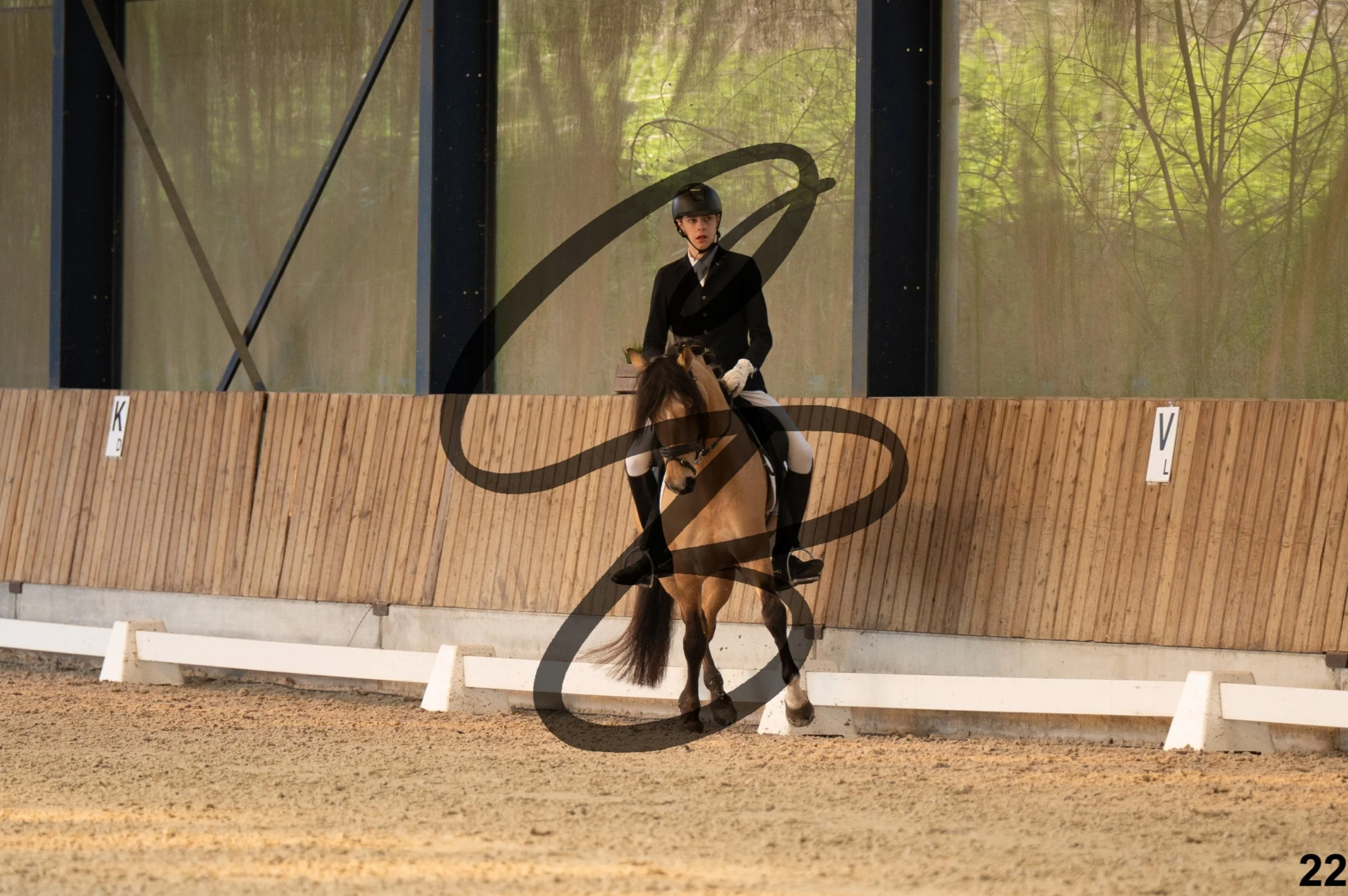 2026.03.22 - Niv3 - pony team test-22.jpg