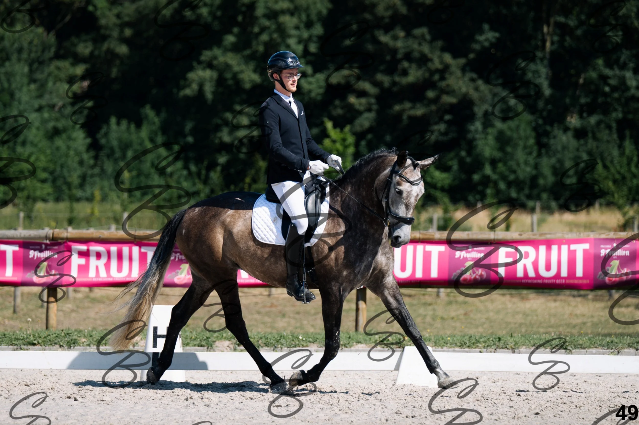 2026.07.11 - 1 Primera - Jonge paarden - Jeunes chevaux -49.jpg