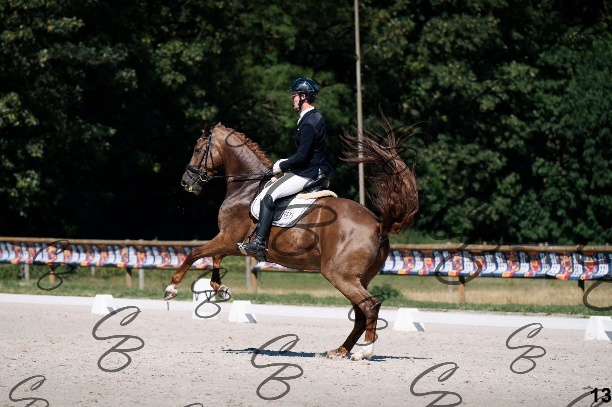 2026.07.12 - Niveau 4 - N4.3-13.jpg