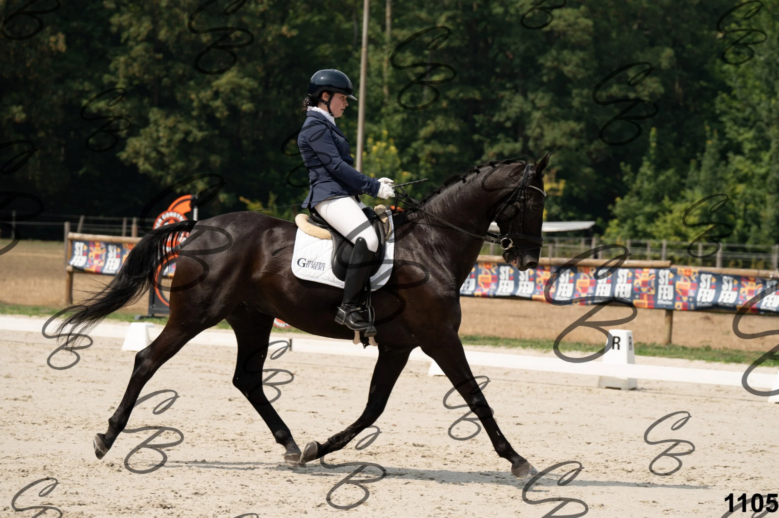 2026.08.15 - Louchier - GHO-1378.jpg