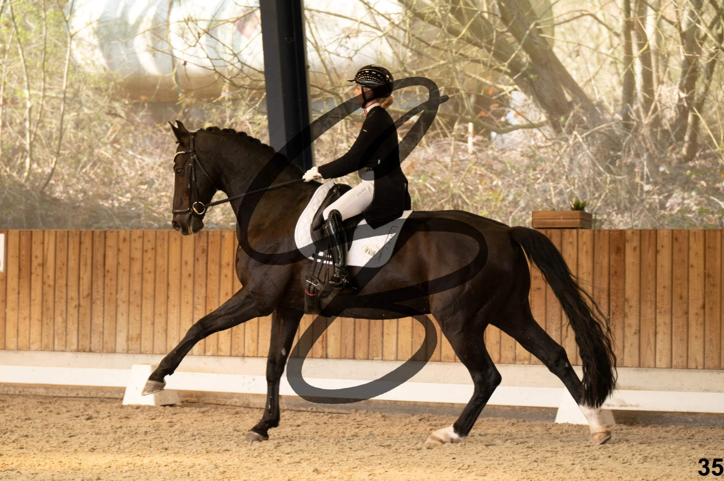 2026.03.22 - Niv5 - Young rider team-35.jpg