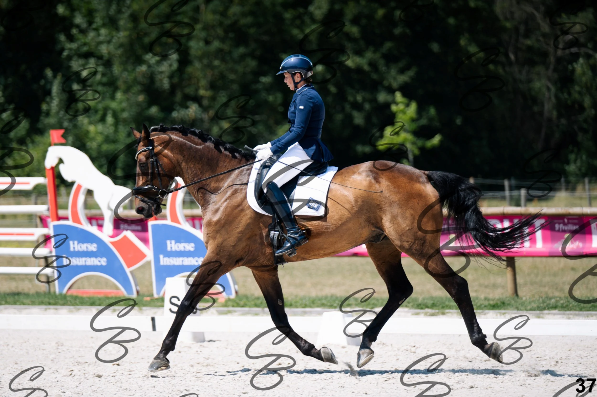 2026.07.12 - Niveau 5 - S3-37.jpg