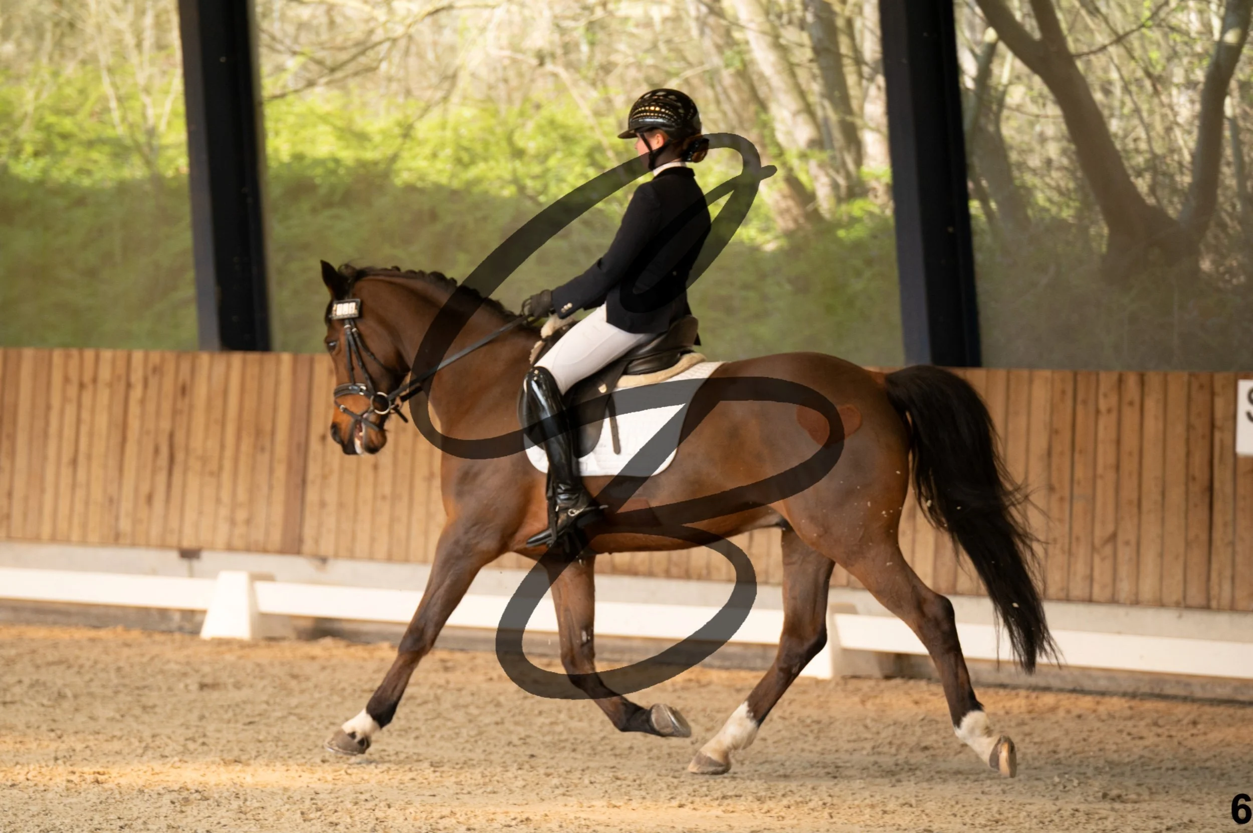 2026.03.22 - Niv3 - pony team test-6.jpg