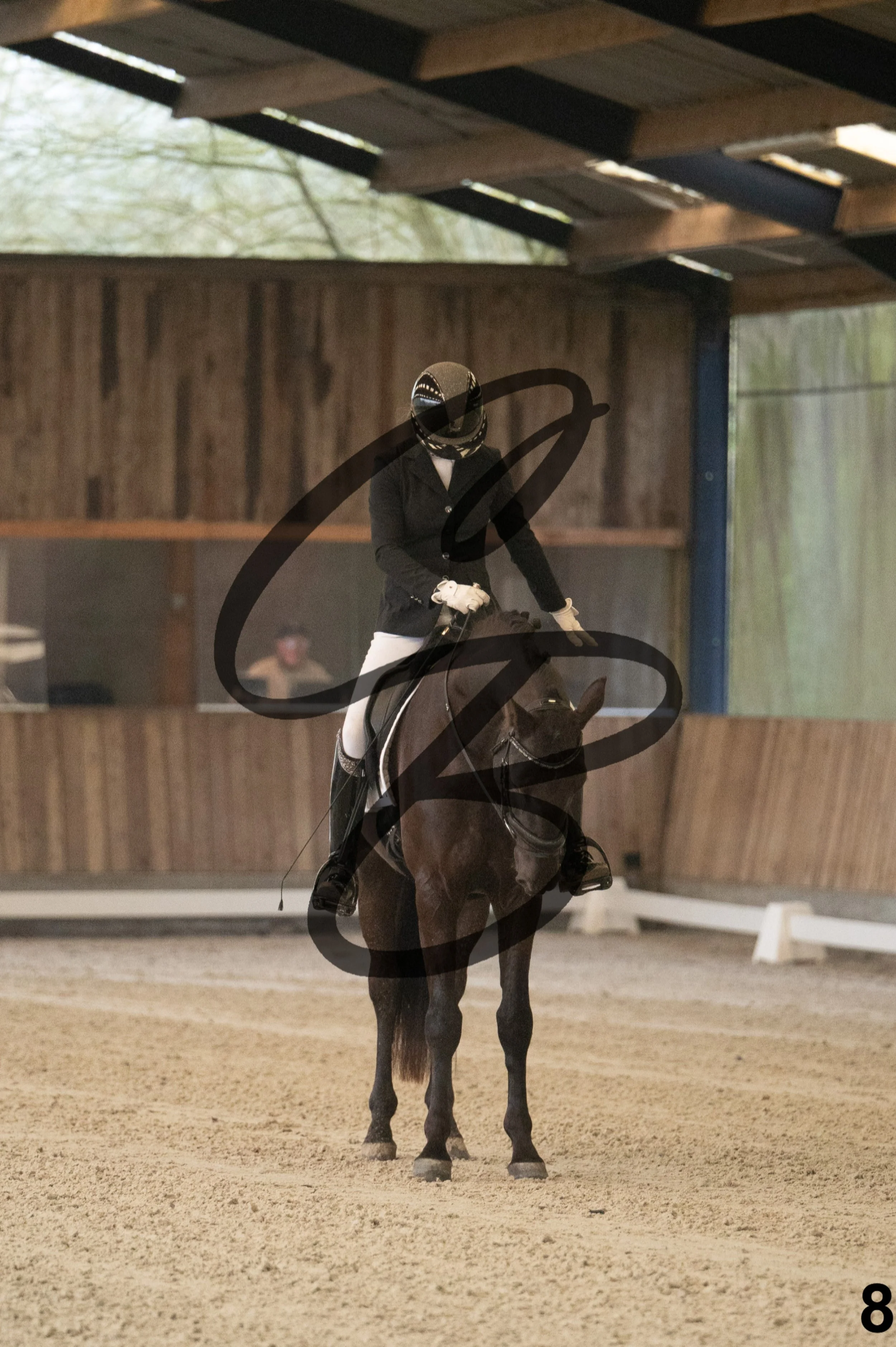 2026.03.22 - jeunes chevaux - 4 ans-8.jpg