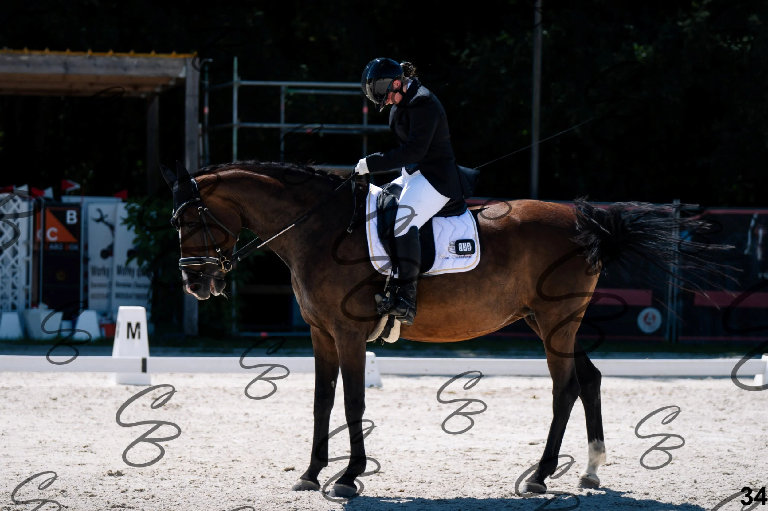 2026.07.12 - Niveau 1 - RLM niv 1-34.jpg