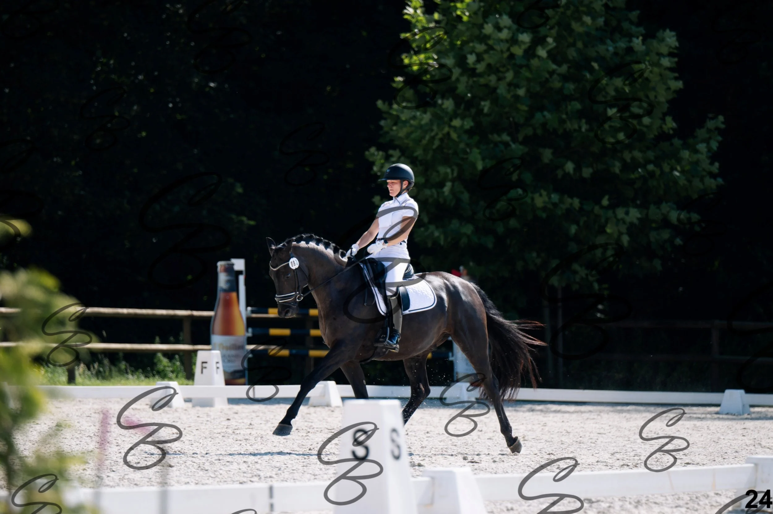 2026.07.12 - Jeunes chevaux - FEI 5YH Preliminary Test-24.jpg