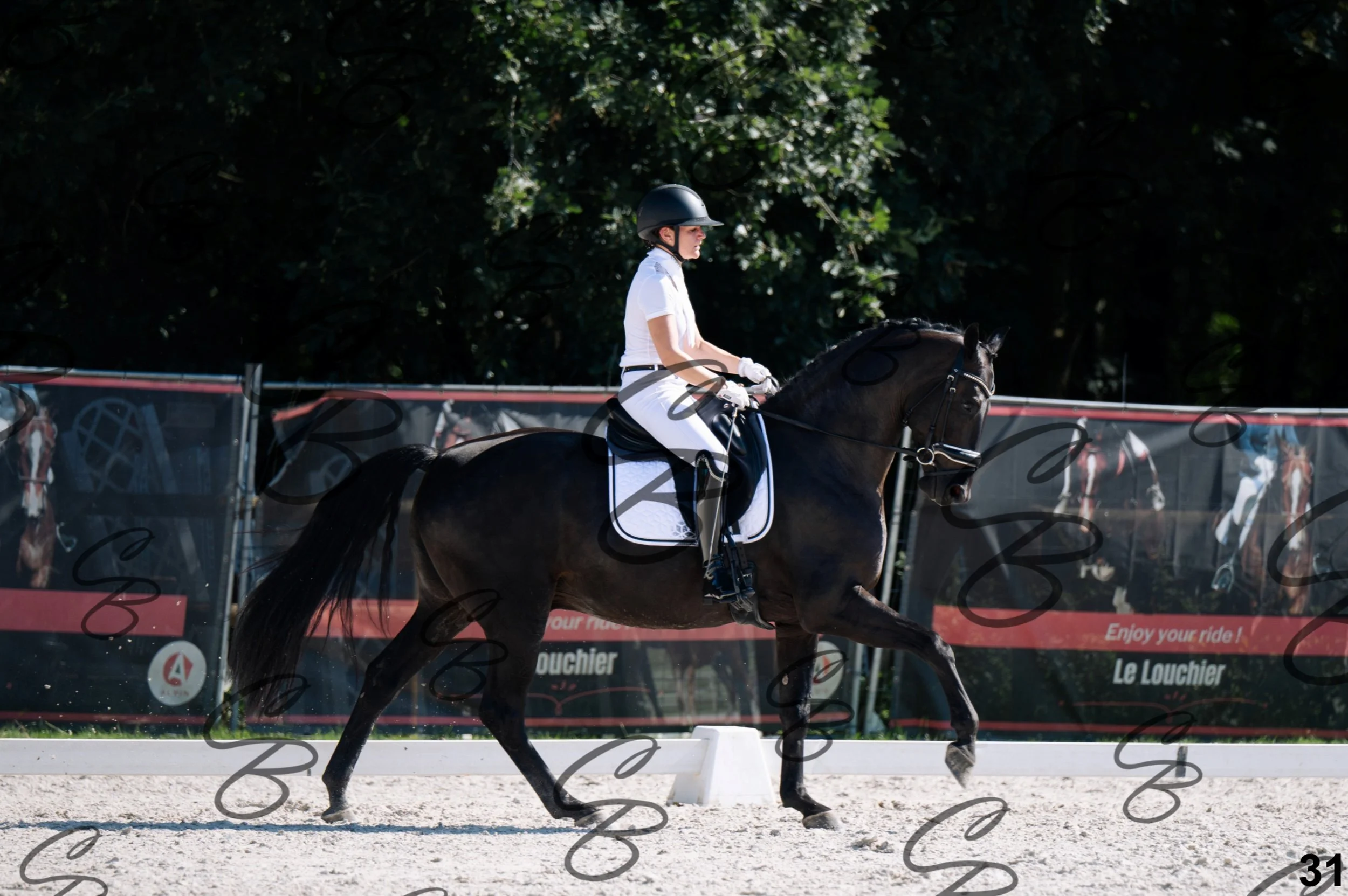 2026.07.12 - Jeunes chevaux - FEI 5YH Preliminary Test-31.jpg