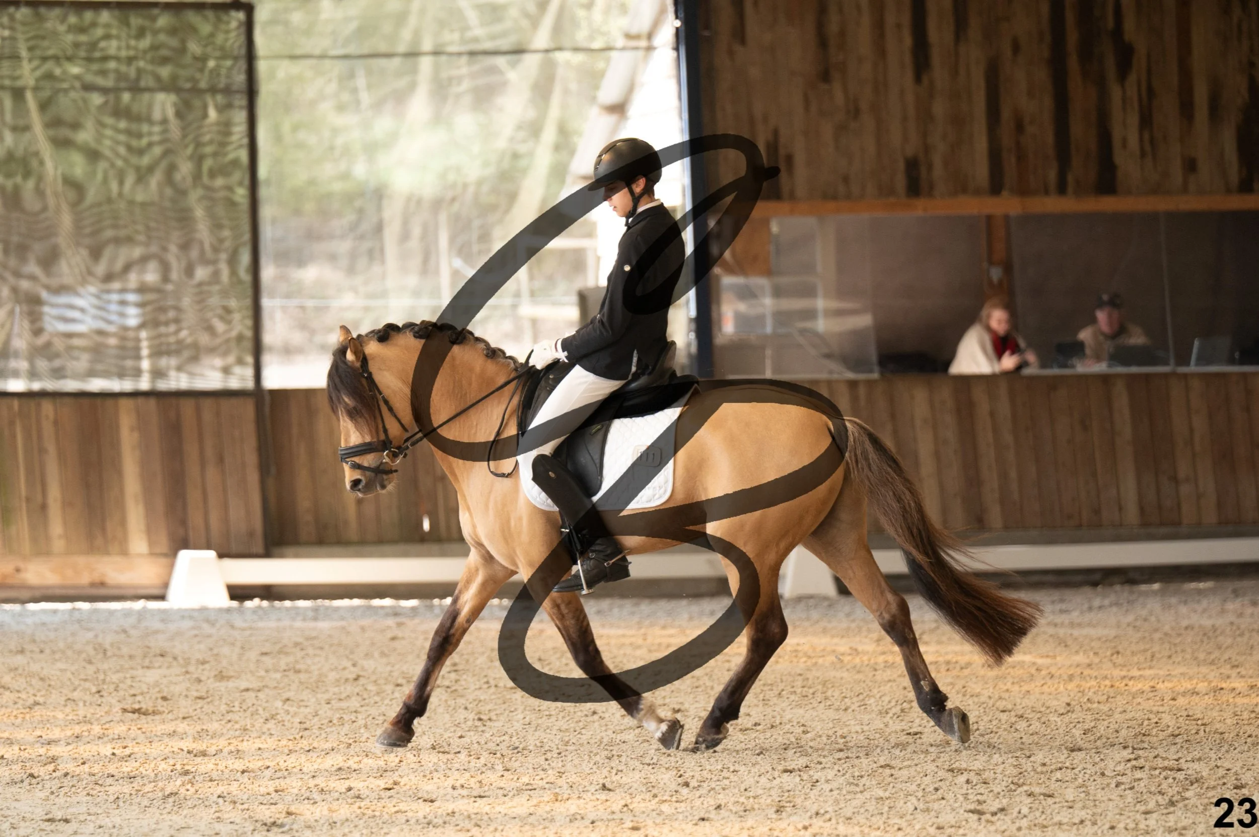 2026.03.22 - Niv3 - pony team test-23.jpg