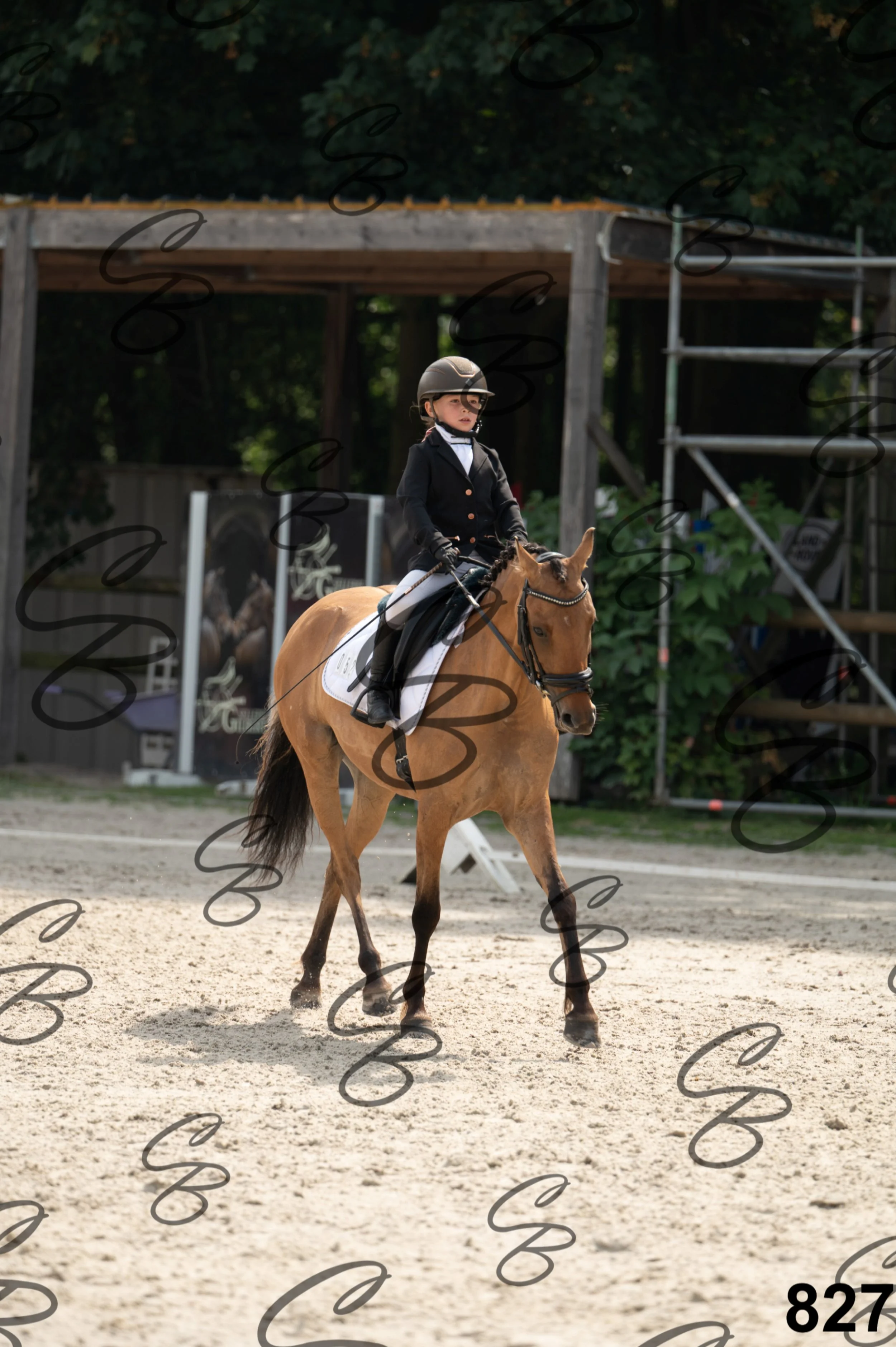 2026.08.15 - Louchier - GHO-949.jpg