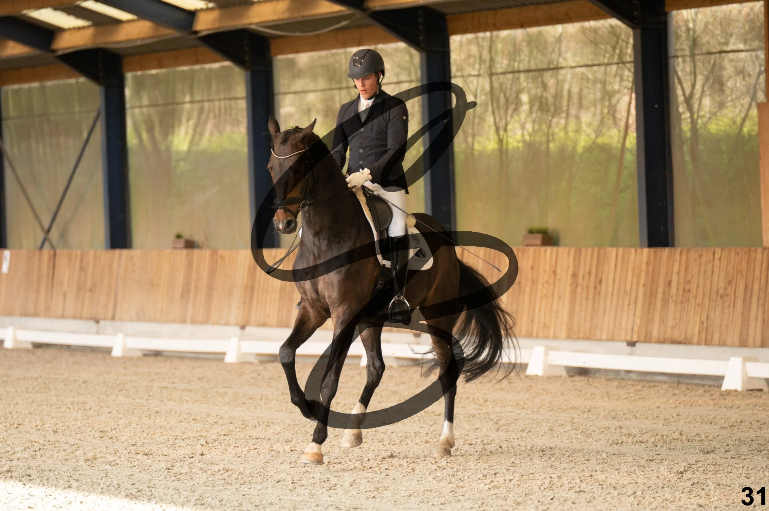 2026.03.22 - jeunes chevaux - 6ans-31.jpg