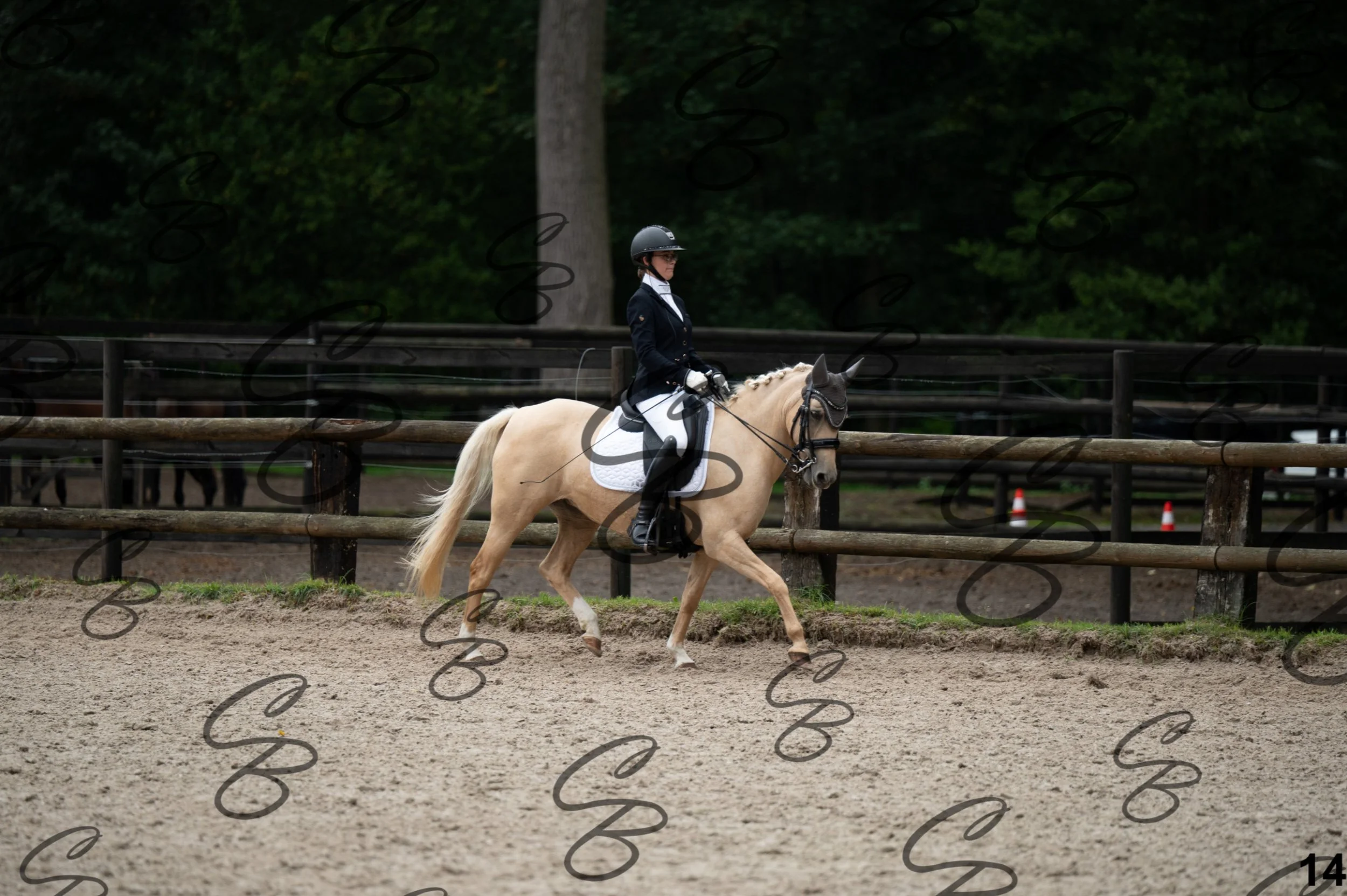 2026.09.13 - Alyssia-14.jpg