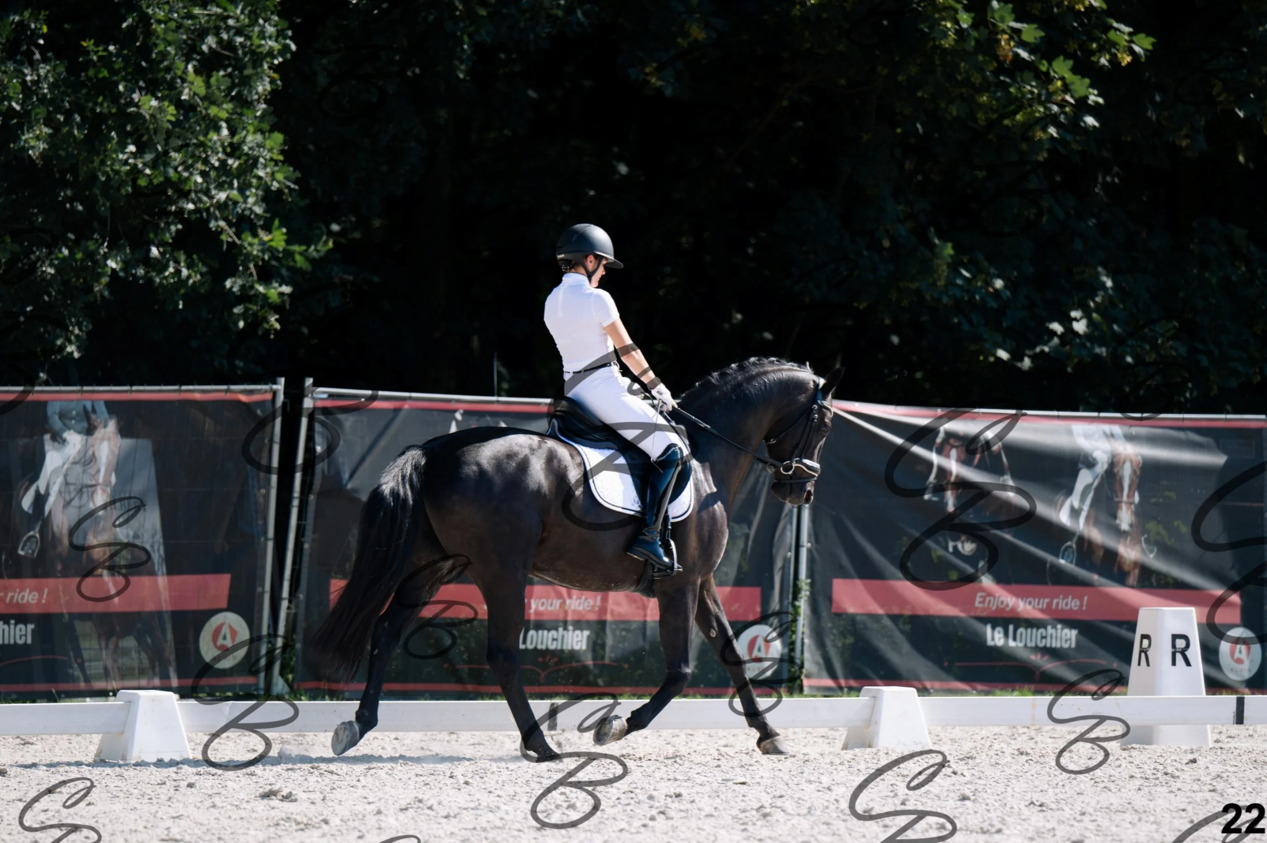 2026.07.12 - Jeunes chevaux - FEI 5YH Preliminary Test-22.jpg